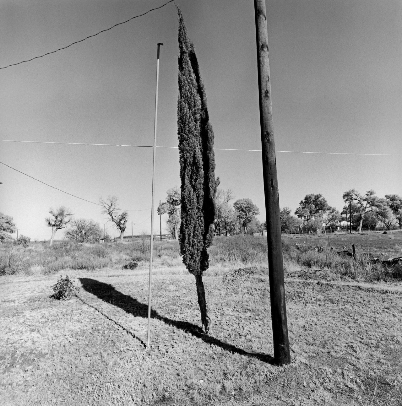 This picture shows the following artwork: Lee Friedlander. 