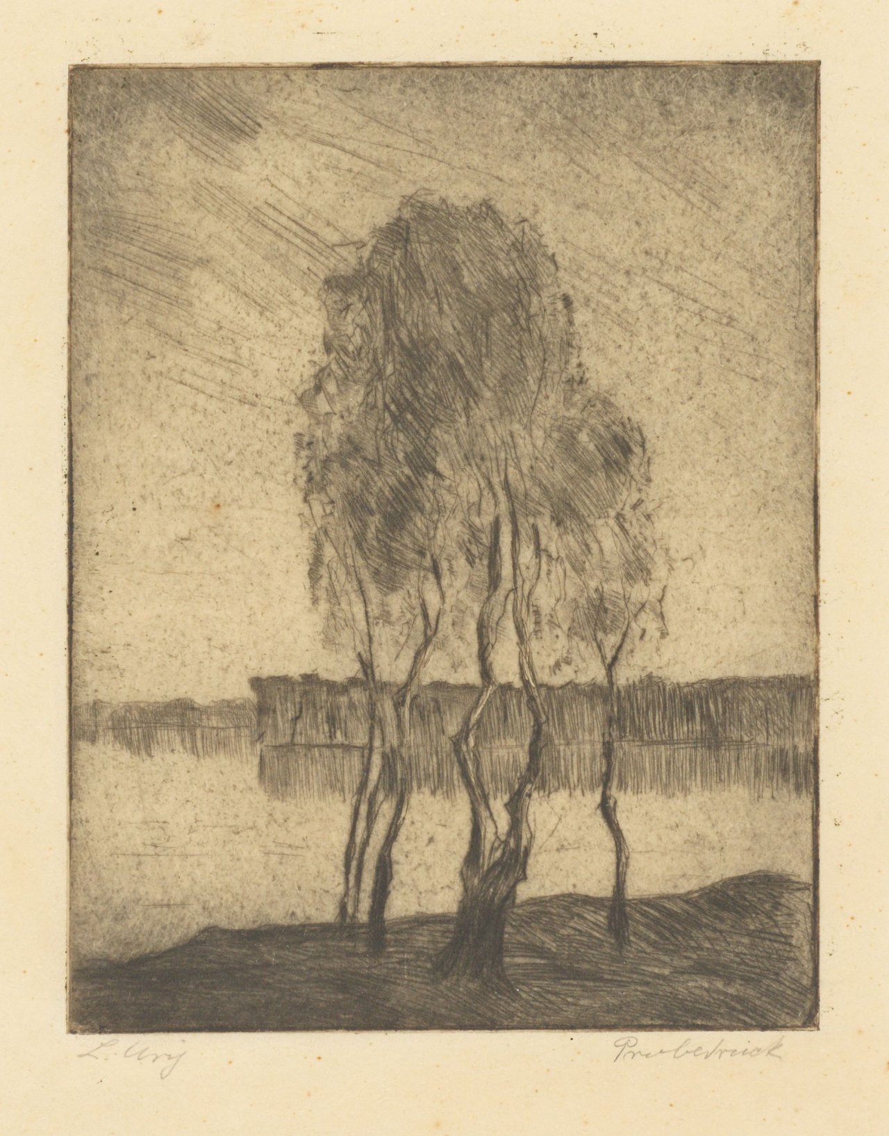 Auf diesem Bild ist das folgende Kunstwerk zu sehen: Lesser Ury. „Drei Birken am märkischen See“. 1920.