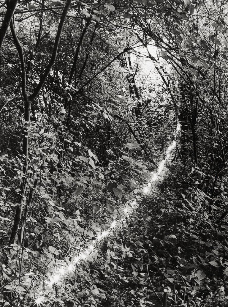 Auf diesem Bild ist das folgende Kunstwerk zu sehen: Dieter Appelt. Ohne Titel, aus dem Portfolio „Erinnerungs-spur – Statische Vibration“. 1979.