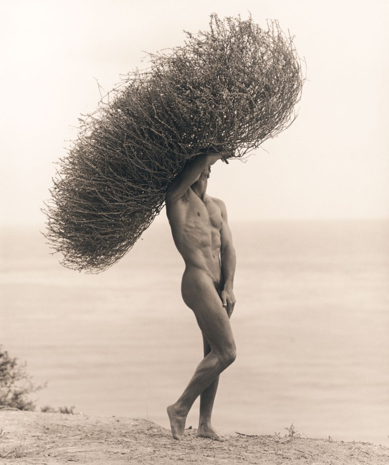 Auf diesem Bild ist das folgende Kunstwerk zu sehen: Herb Ritts. „Male Nude with Tumbleweed, Paradise Cove“. 1986.