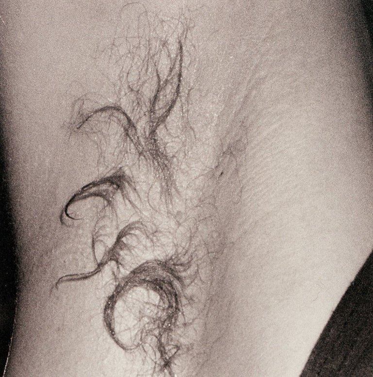 Auf diesem Bild ist das folgende Kunstwerk zu sehen: Wolfgang Tillmans. „Chemistry/Space Club Achsel“. 1992.