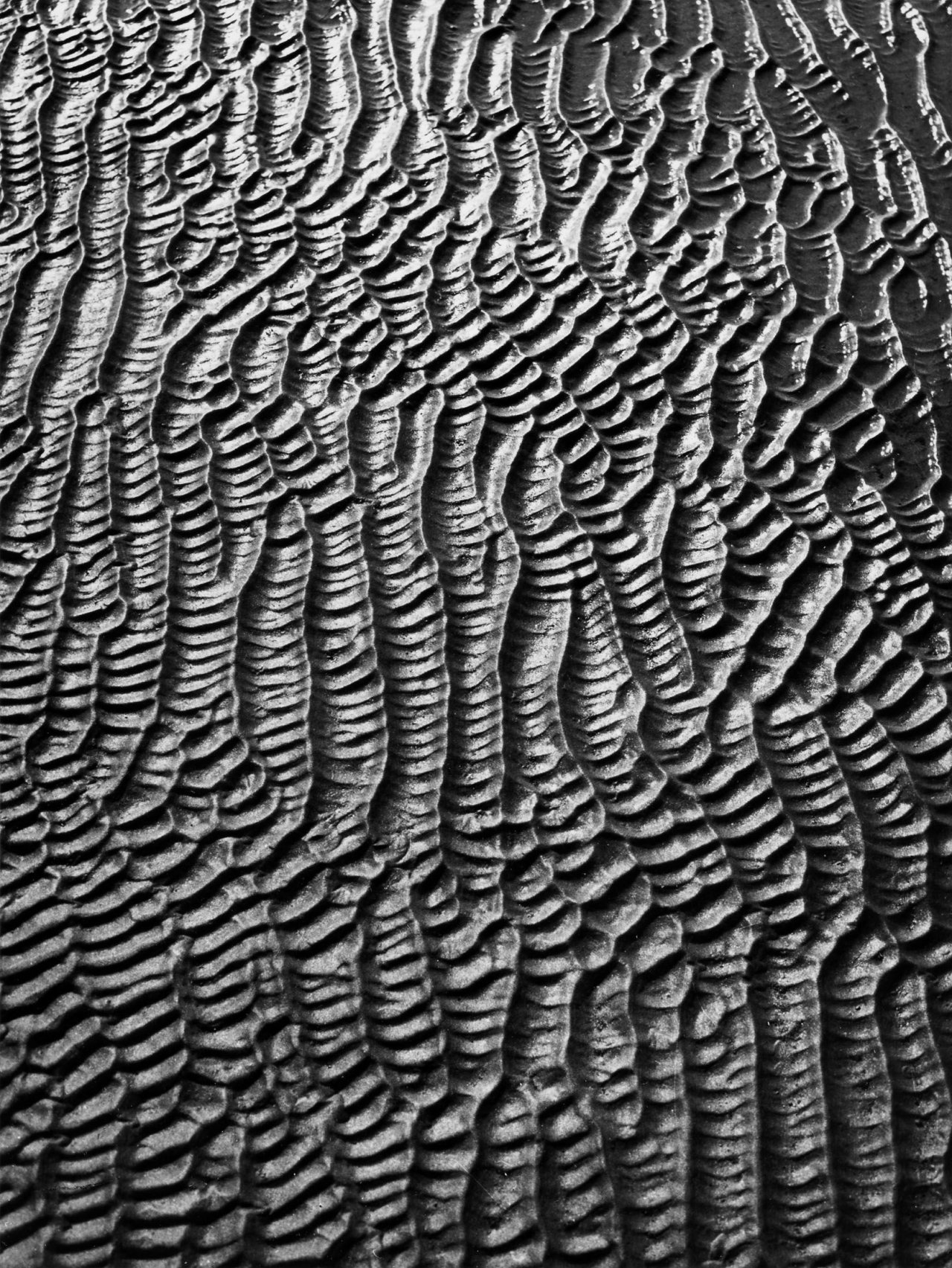 Auf diesem Bild ist das folgende Kunstwerk zu sehen: Alfred Ehrhardt. „Doppelt geriffelte Sandfläche im Wattenmeer“. 1935.