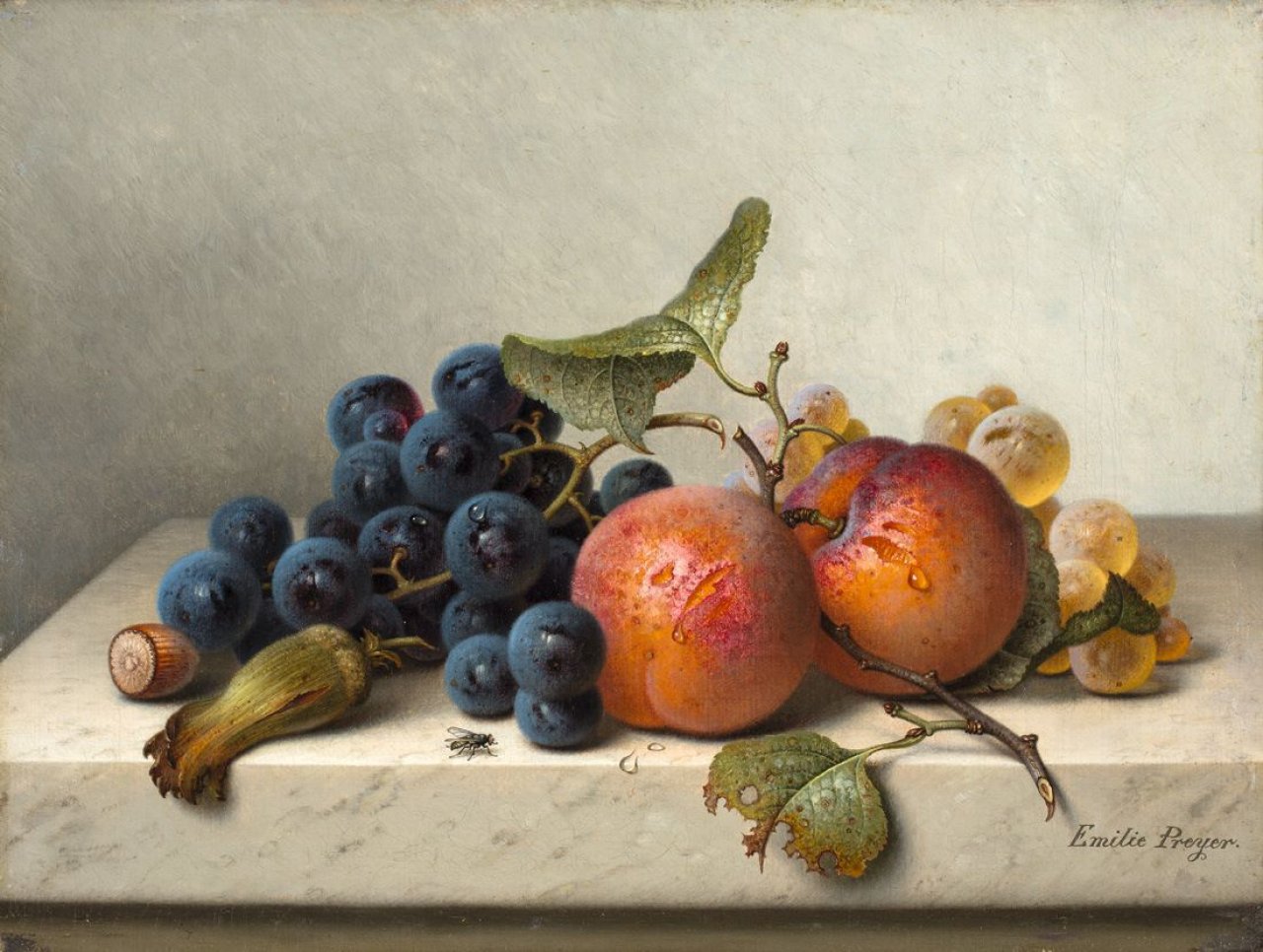 Auf diesem Bild ist das folgende Kunstwerk zu sehen: Emilie Preyer. Früchtestilleben mit blauen und weißen Weintrauben, zwei Aprikosen am Zweig und zwei Haselnüssen.