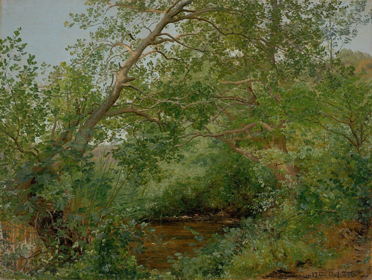 Catalog image of Nemisee („Nemisøen“). 1869
