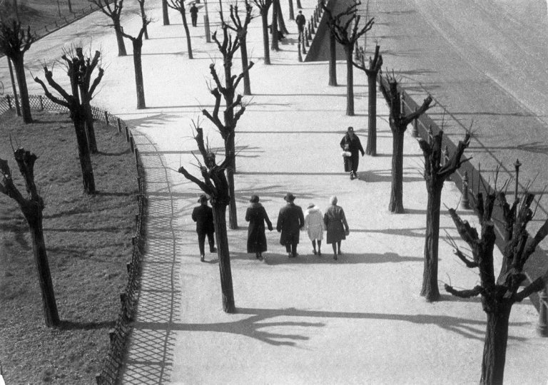 Auf diesem Bild ist das folgende Kunstwerk zu sehen: Dr. Paul Wolff. Ohne Titel (Weg mit Bäumen). Um 1931.