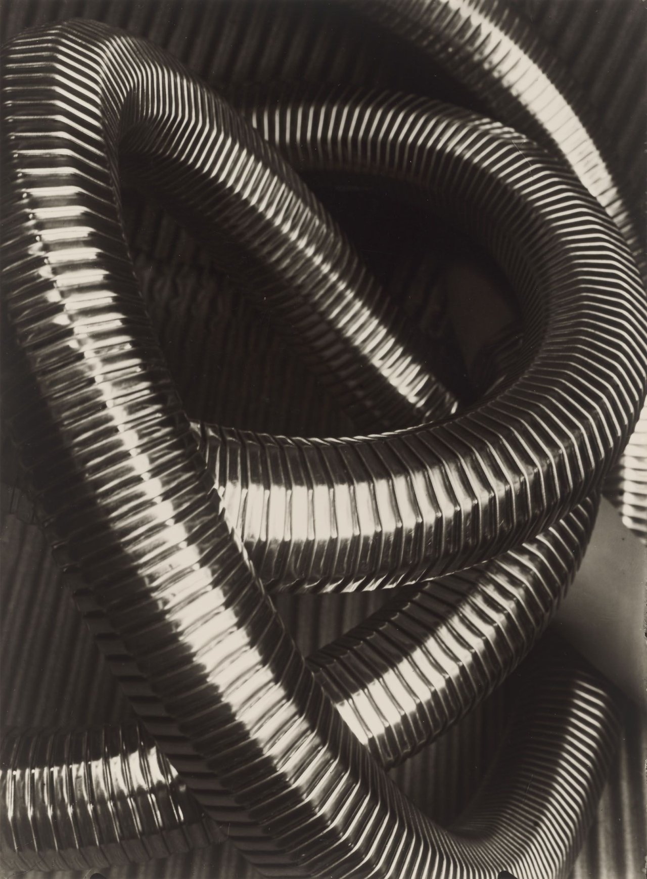This picture shows the following artwork: Piet Zwart. Stofzuigerslang (vacuum-cleaner tube). 1930.