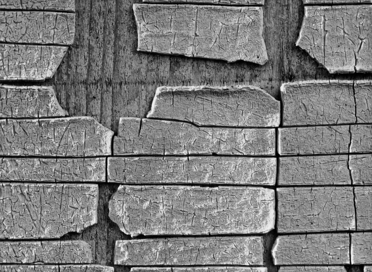 This picture shows the following artwork: Peter Keetman. Untitled. 1950s.