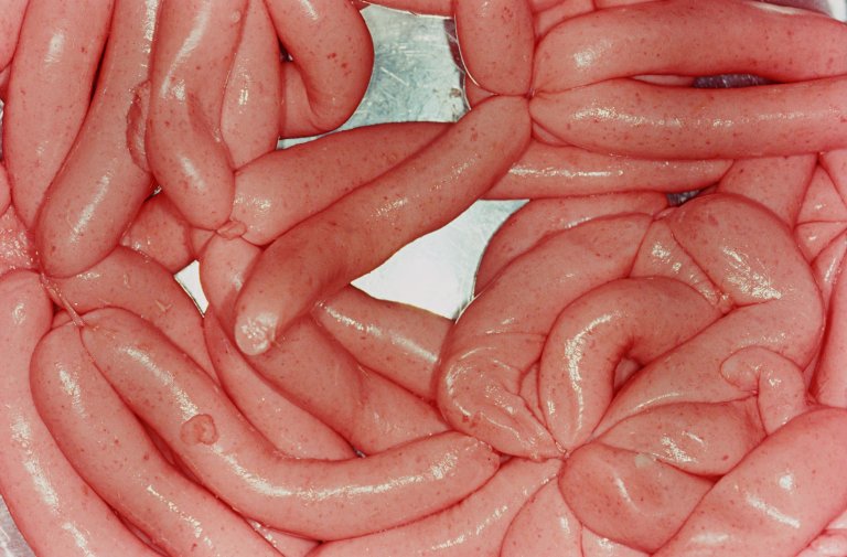 Auf diesem Bild ist das folgende Kunstwerk zu sehen: Martin Parr. „Food“, aus der Serie „British Food“. 1995.