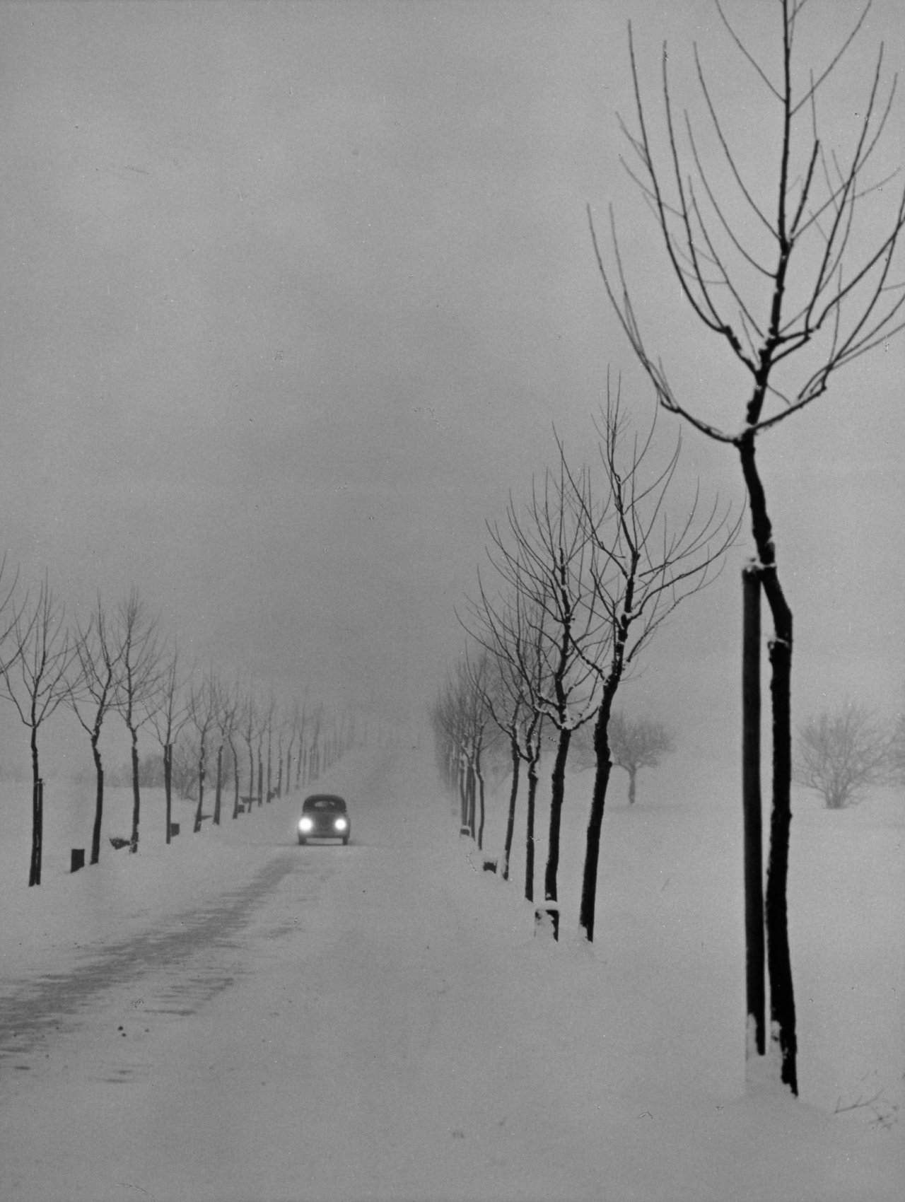 Auf diesem Bild ist das folgende Kunstwerk zu sehen: Peter Keetman. Abendliche Straße bei Bernau. 1956.