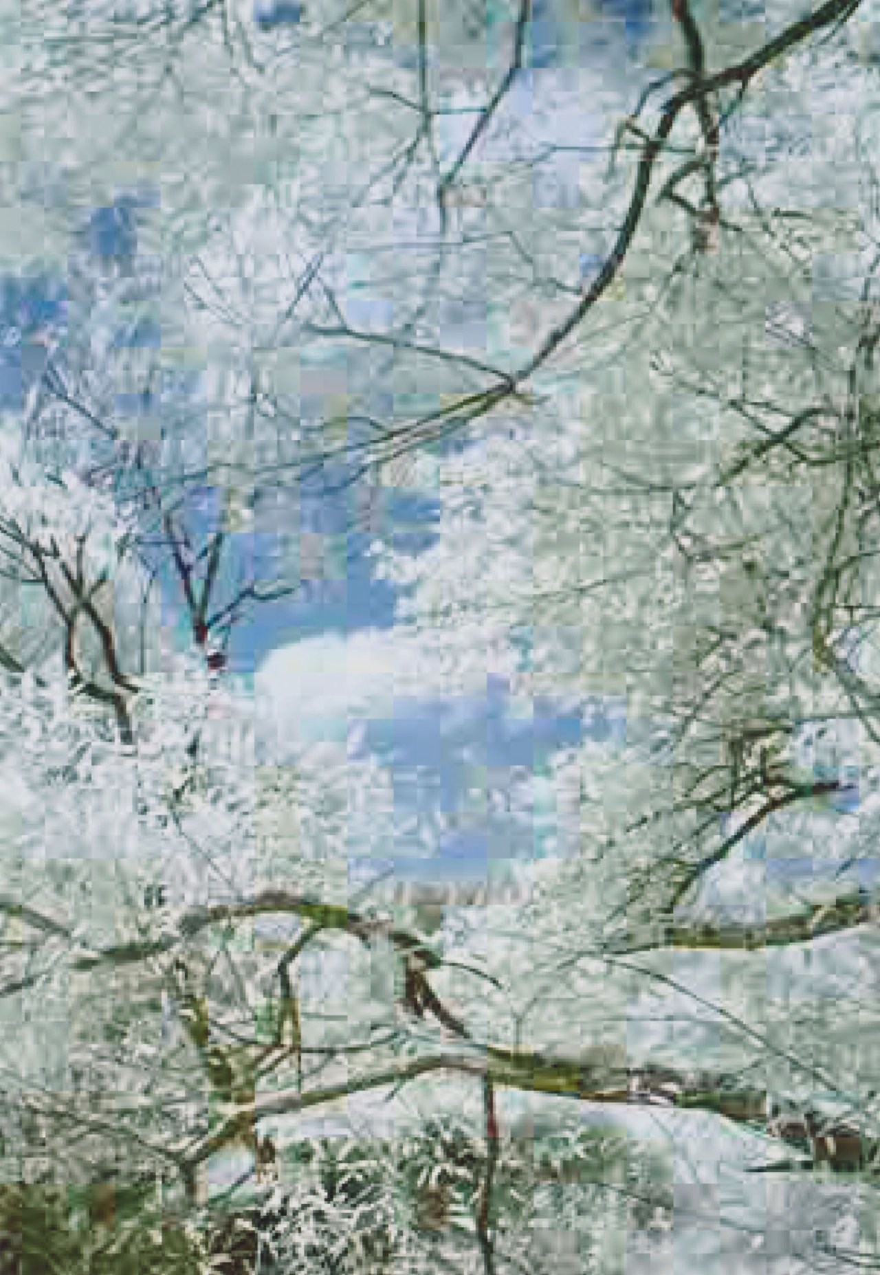 Auf diesem Bild ist das folgende Kunstwerk zu sehen: Thomas Ruff. jpeg ti_01 (Spring). 2005.