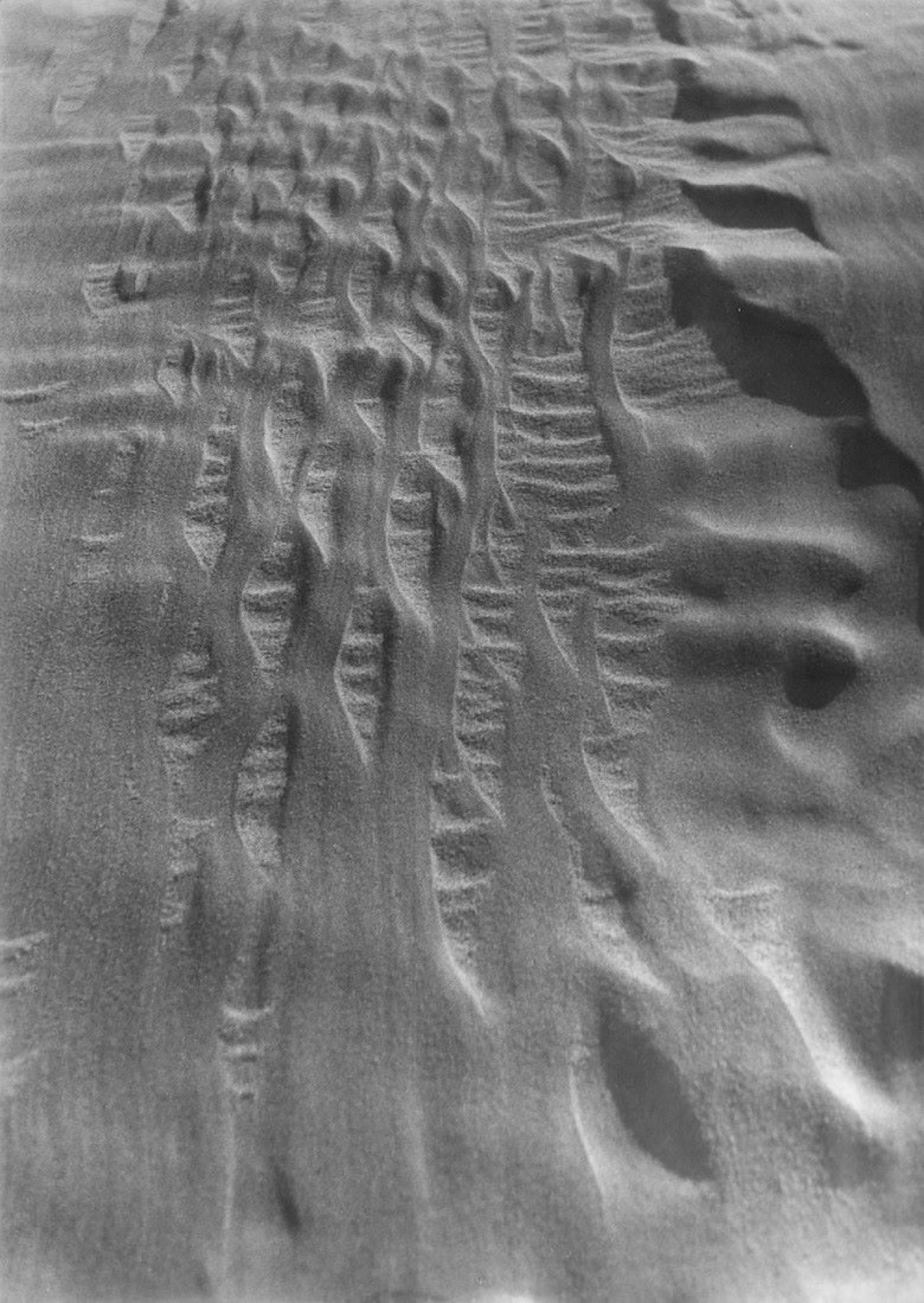 Auf diesem Bild ist das folgende Kunstwerk zu sehen: Alfred Ehrhardt. Sandformen, Kurische Nehrung. 1934.