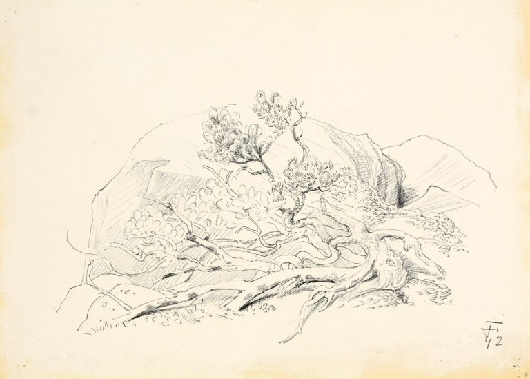 Auf diesem Bild ist das folgende Kunstwerk zu sehen: Otto Dix. „Riesengebirge (Findling mit Wurzelkiefer)“.