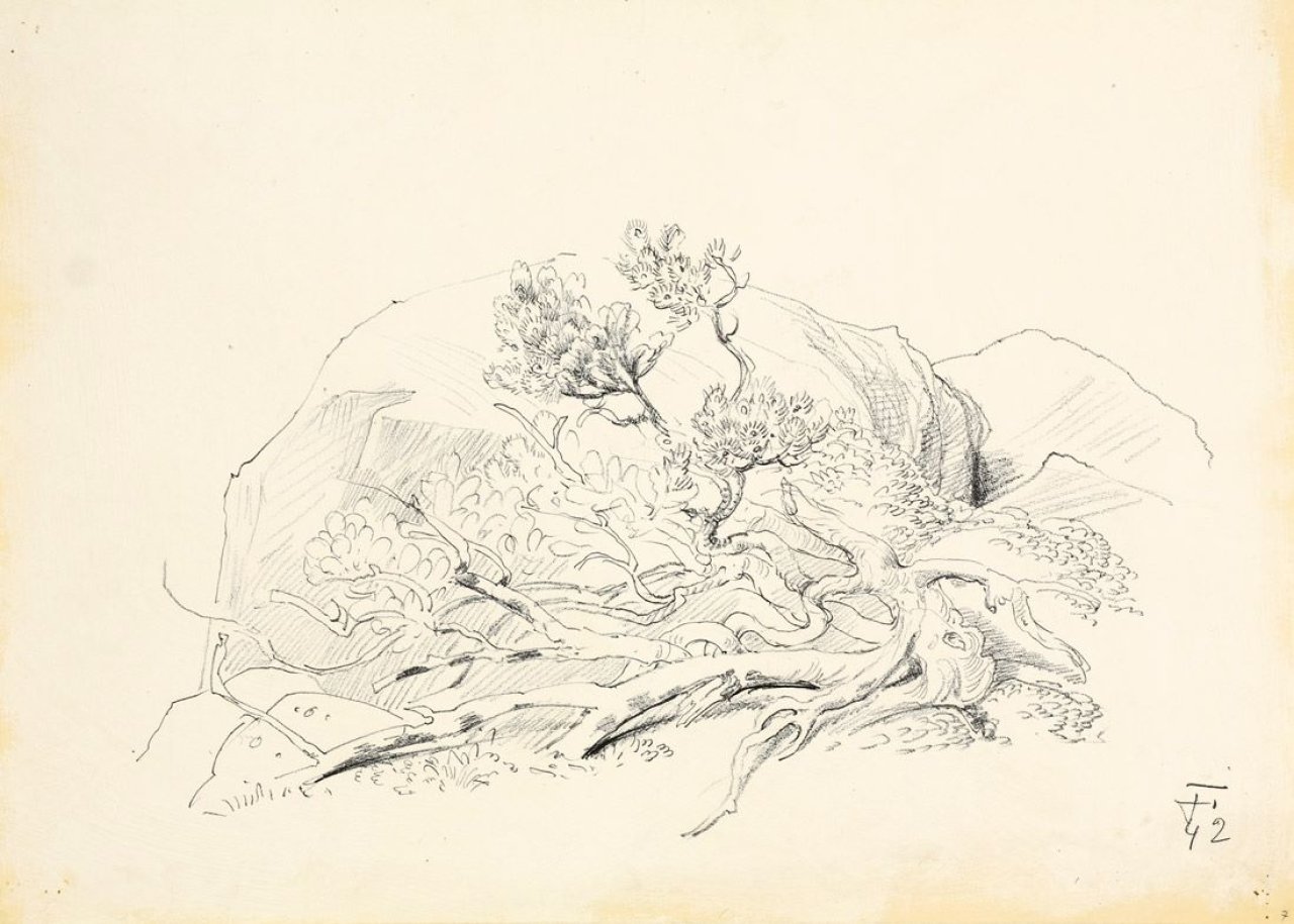 Auf diesem Bild ist das folgende Kunstwerk zu sehen: Otto Dix. „Riesengebirge (Findling mit Wurzelkiefer)“.