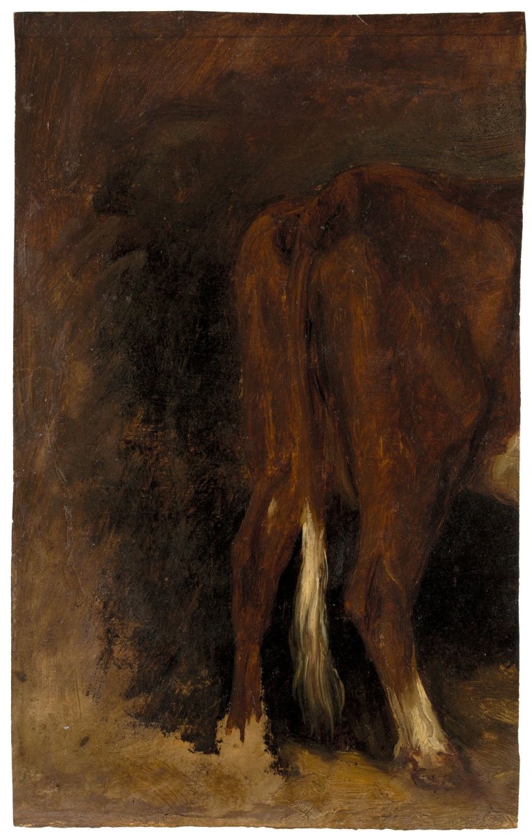Auf diesem Bild ist das folgende Kunstwerk zu sehen: Christian Friedrich Gille. Hinterteil einer Kuh. Um 1845.