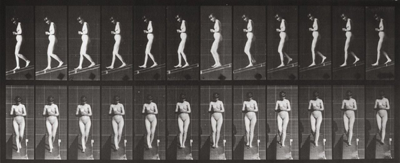 This picture shows the following artwork: Eadweard  Muybridge (i.e. Edward James Muggeridge). Animal Locomotion, Vol. III Females (Nude), Plate 115: Descending an incline with hands clasped in front. 1887.