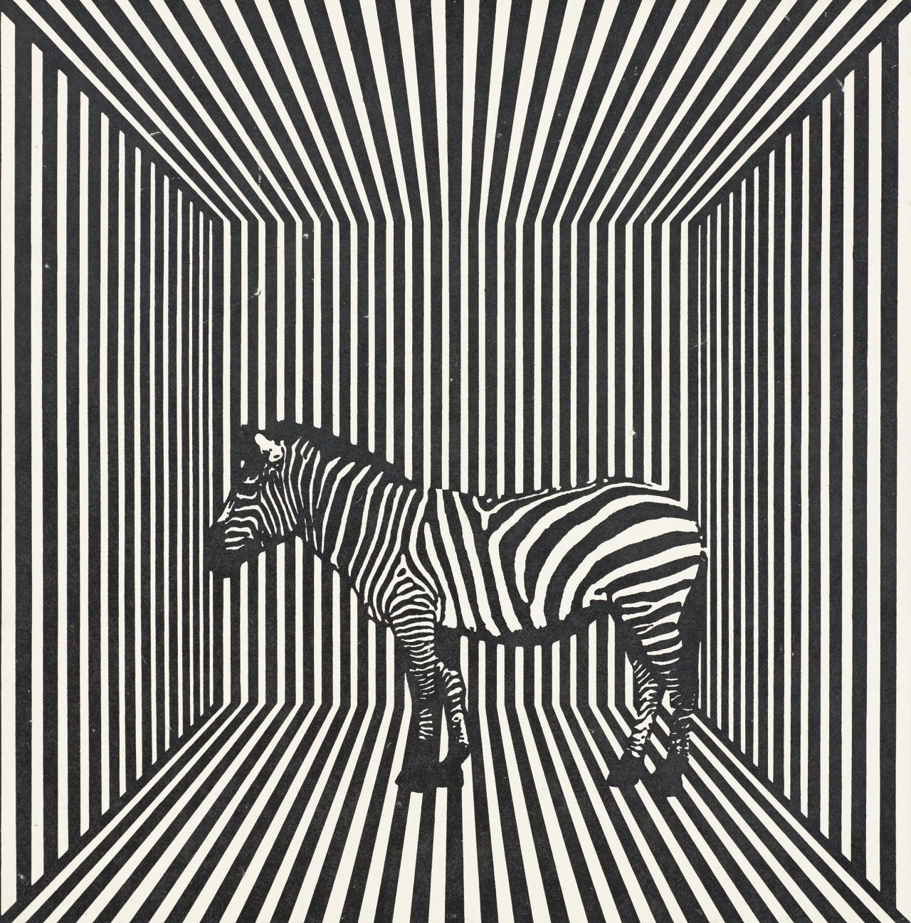 Auf diesem Bild ist das folgende Kunstwerk zu sehen: Timm Ulrichs. „Zebra-Streifen-Raum (Zoo-Environment)“. 1964/69.