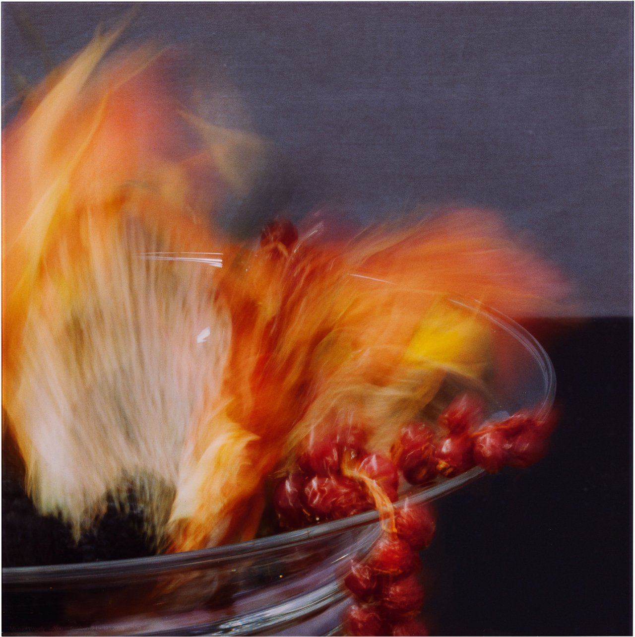 This picture shows the following artwork: Michael Wesely. ”Stilleben (2.1. – 18.1.2010)”. 2010.