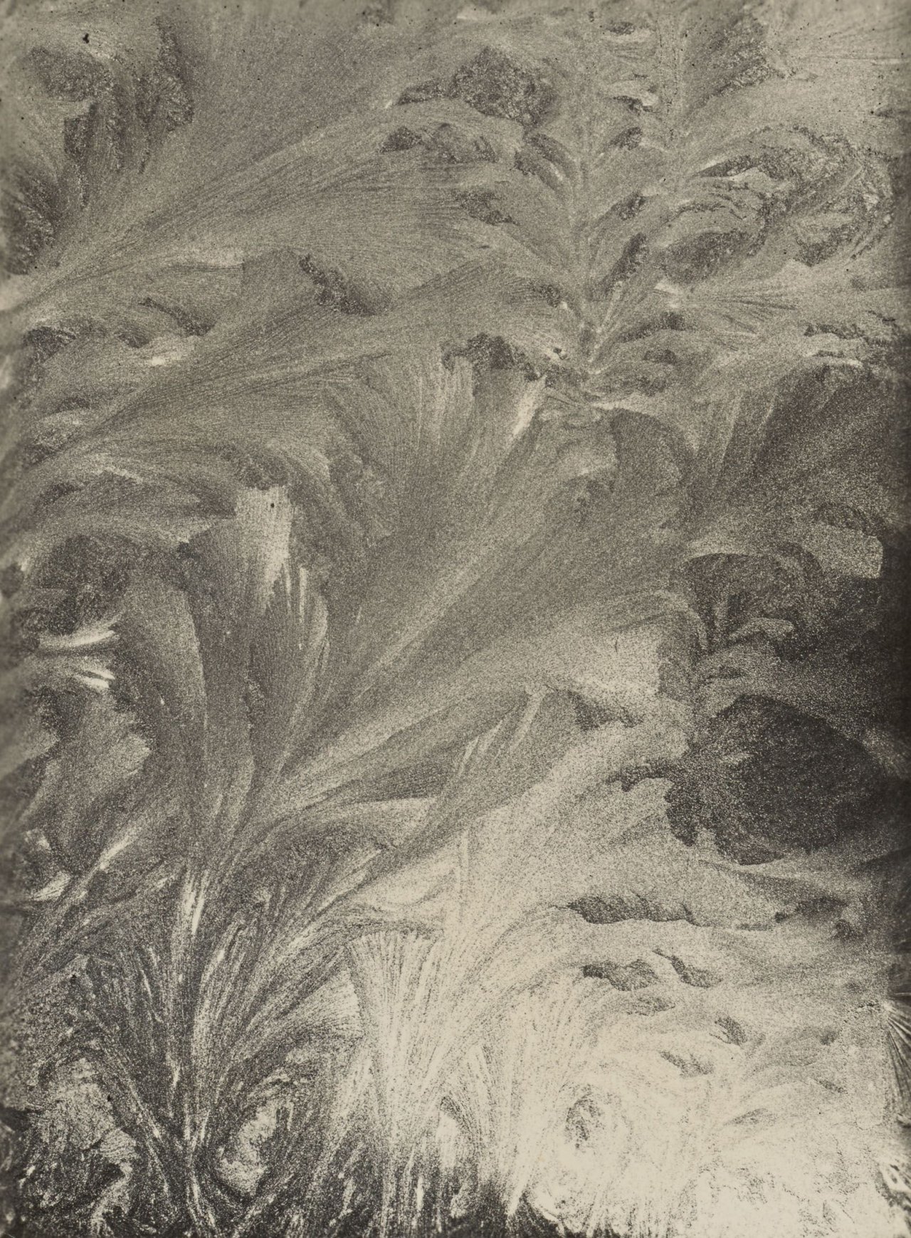 Auf diesem Bild ist das folgende Kunstwerk zu sehen: Aenne Biermann (d.i. Anna Sibylla Sternfeld). „Eisblumen“. 1929.