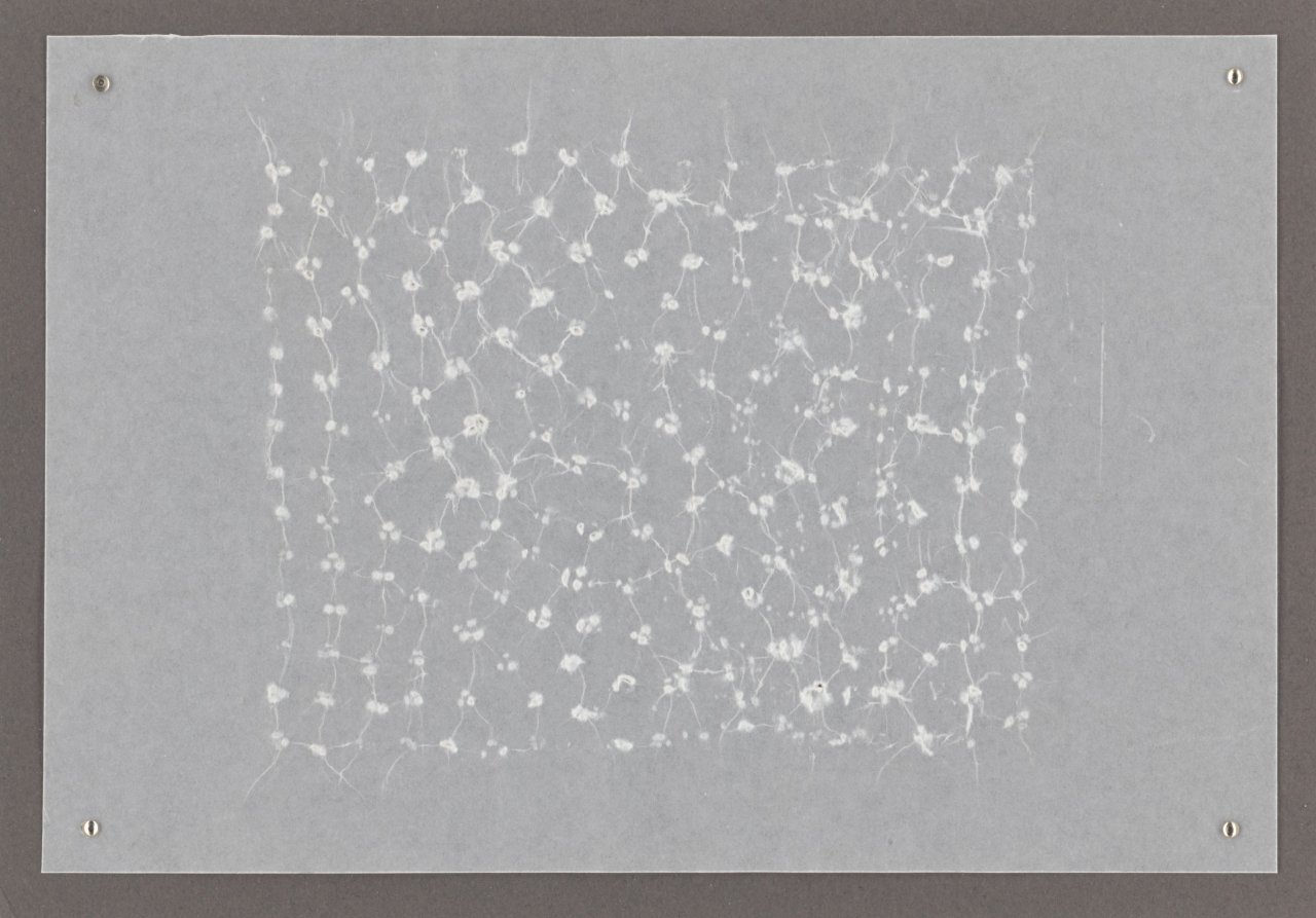 Auf diesem Bild ist das folgende Kunstwerk zu sehen: Mona Hatoum. „Untitled (impression on wax paper) 1“. 2018.