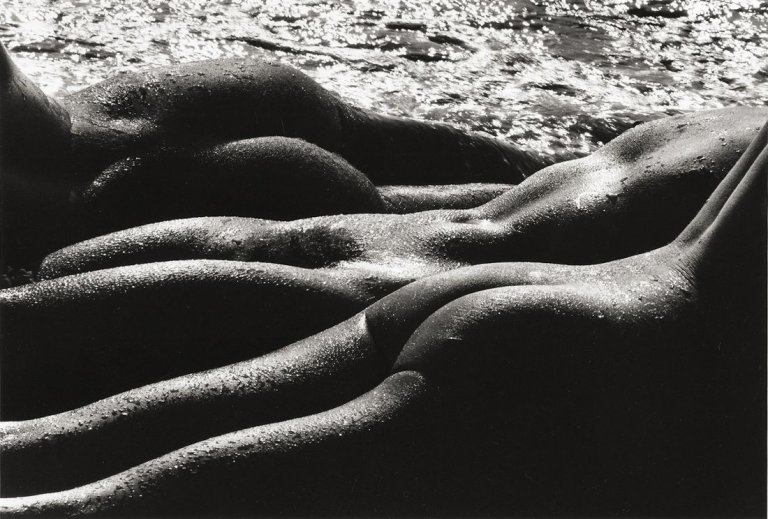 Auf diesem Bild ist das folgende Kunstwerk zu sehen: Lucien Clergue. Geantes, Camargue. 1978.
