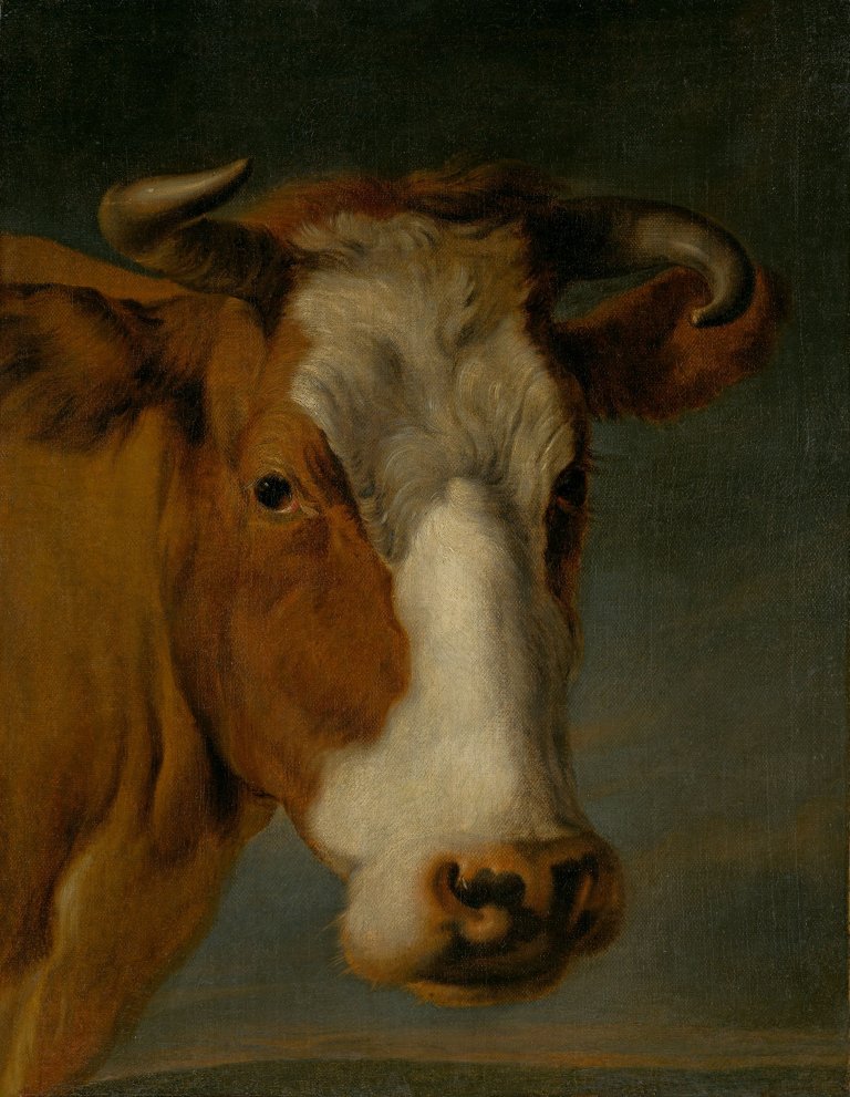 Auf diesem Bild ist das folgende Kunstwerk zu sehen: Umkreis des Nicolaes Berchem. Porträt einer Kuh. Nach 1650.