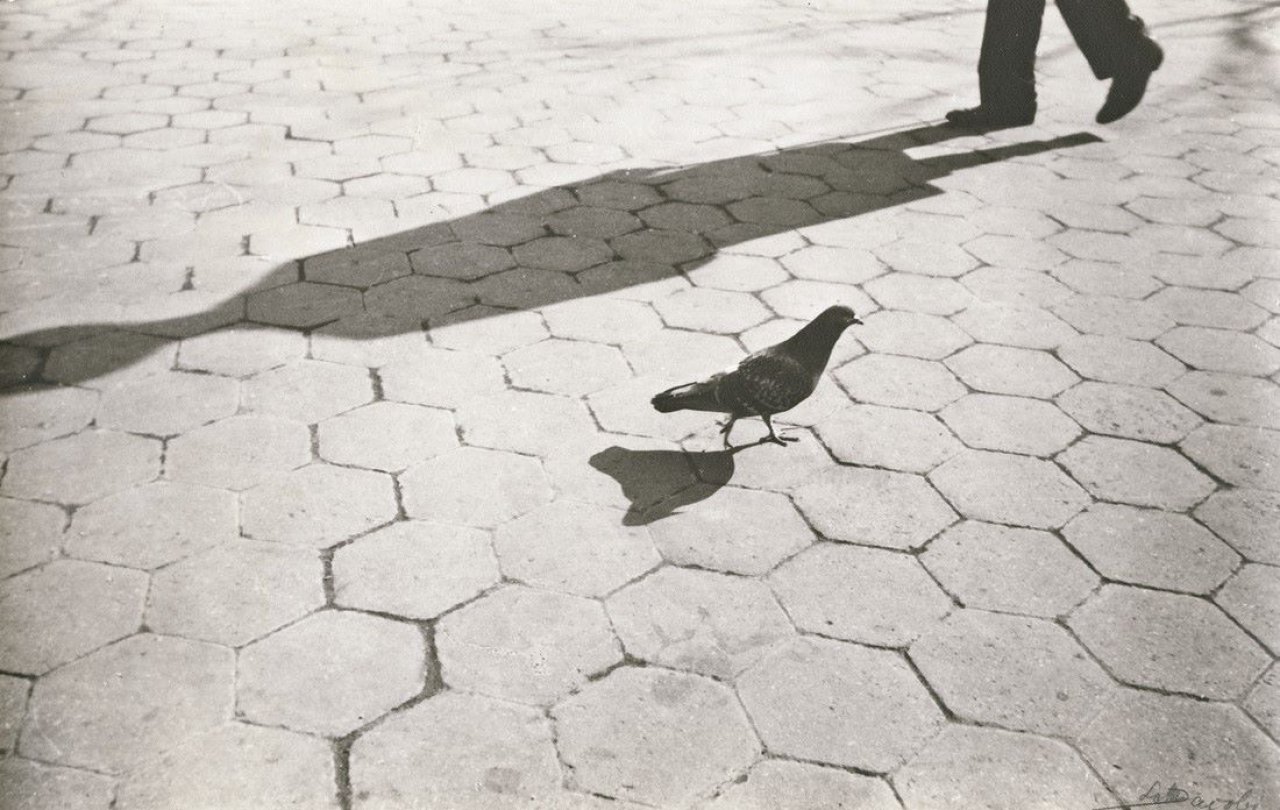 Auf diesem Bild ist das folgende Kunstwerk zu sehen: Lotte Jacobi. „Spaziergang“, Berlin. Um 1930.