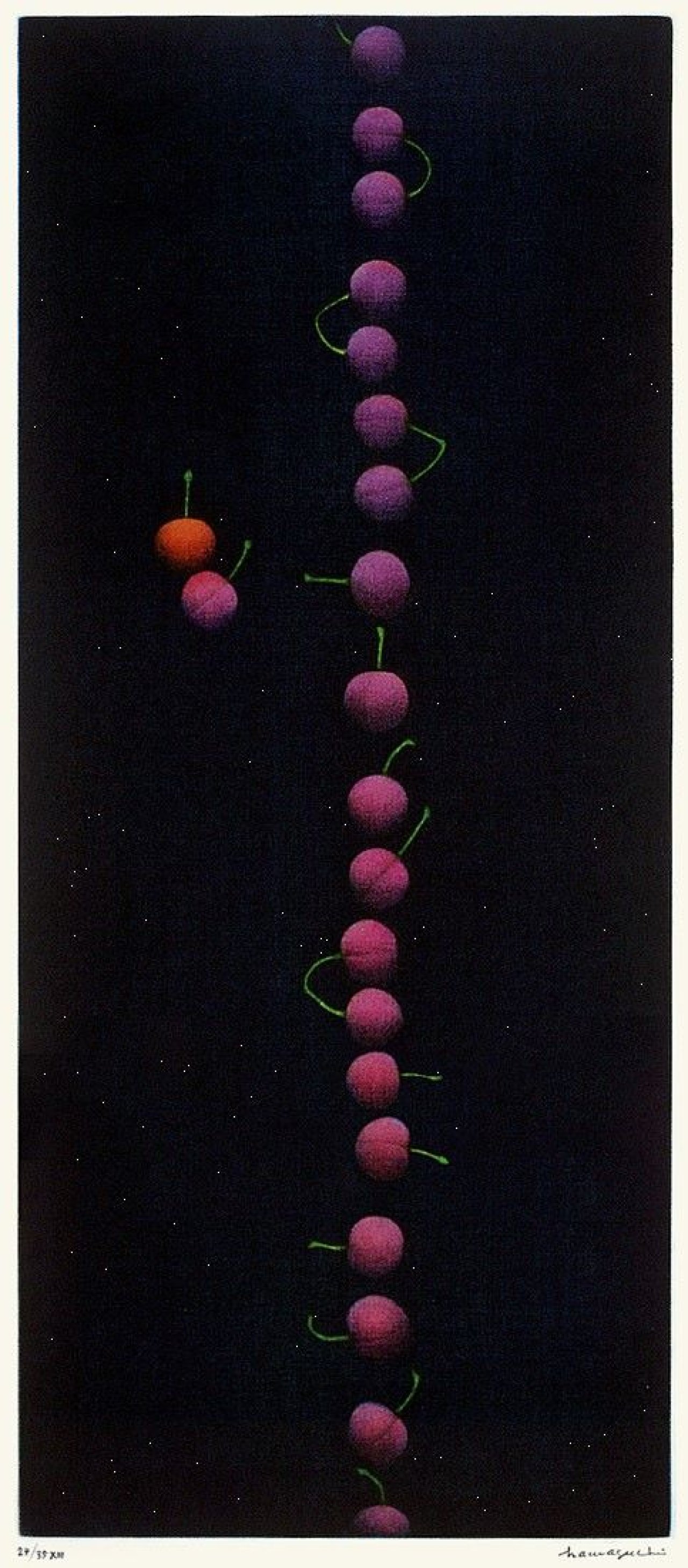 This picture shows the following artwork: Yōzō Hamaguchi. Twenty-two cherries XIII. 1988-1991.