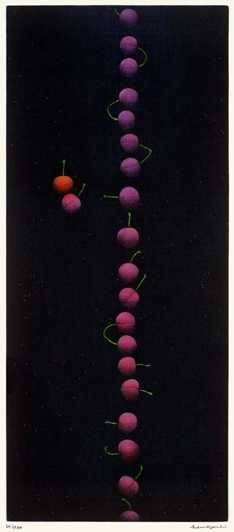 Auf diesem Bild ist das folgende Kunstwerk zu sehen: Yōzō Hamaguchi. Twenty-two cherries XIII. 1988-1991.