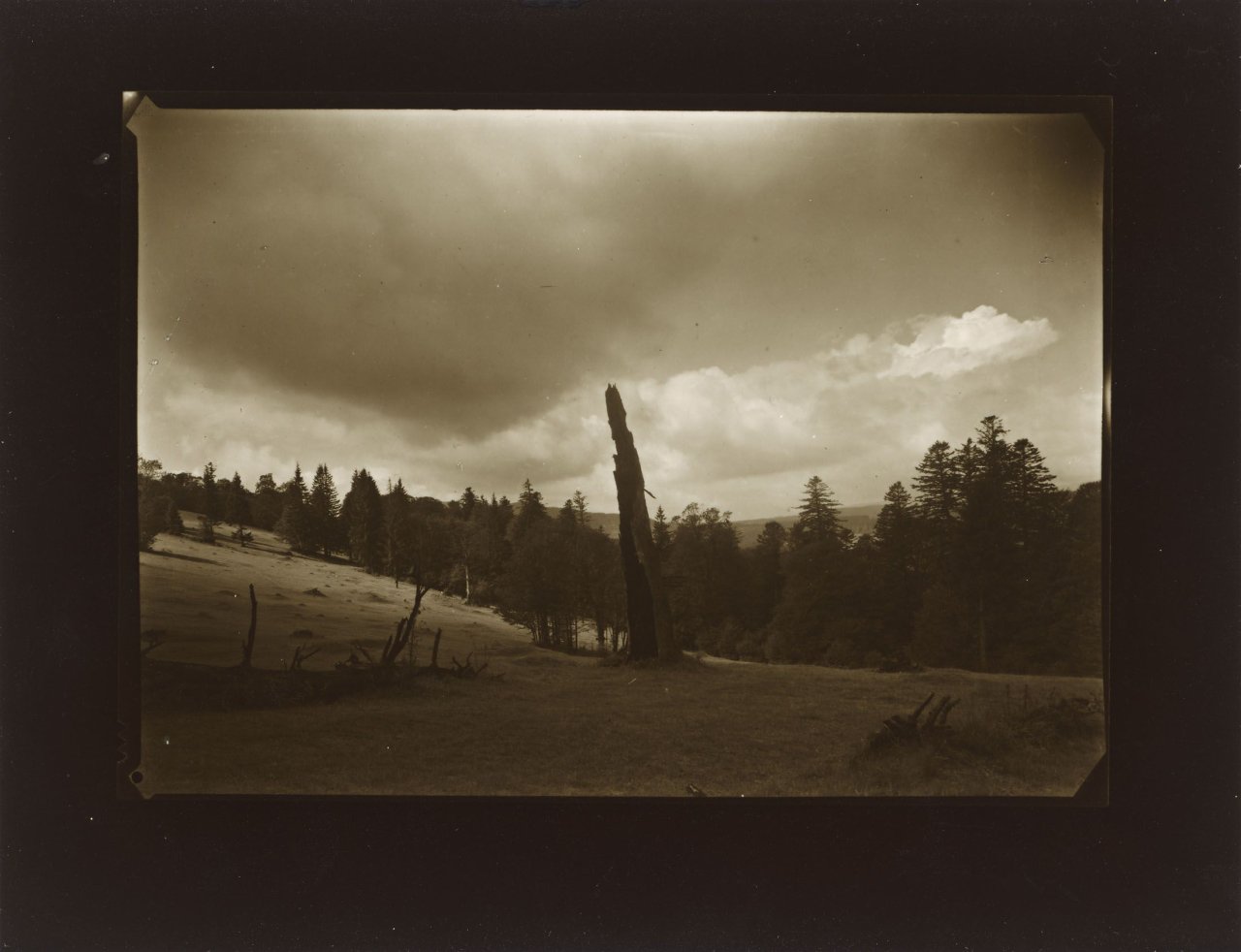Auf diesem Bild ist das folgende Kunstwerk zu sehen: Josef Sudek. Spaziergang im Wald von Mionší, aus dem Zyklus „Verschwundene Statuen“. Um 1952.