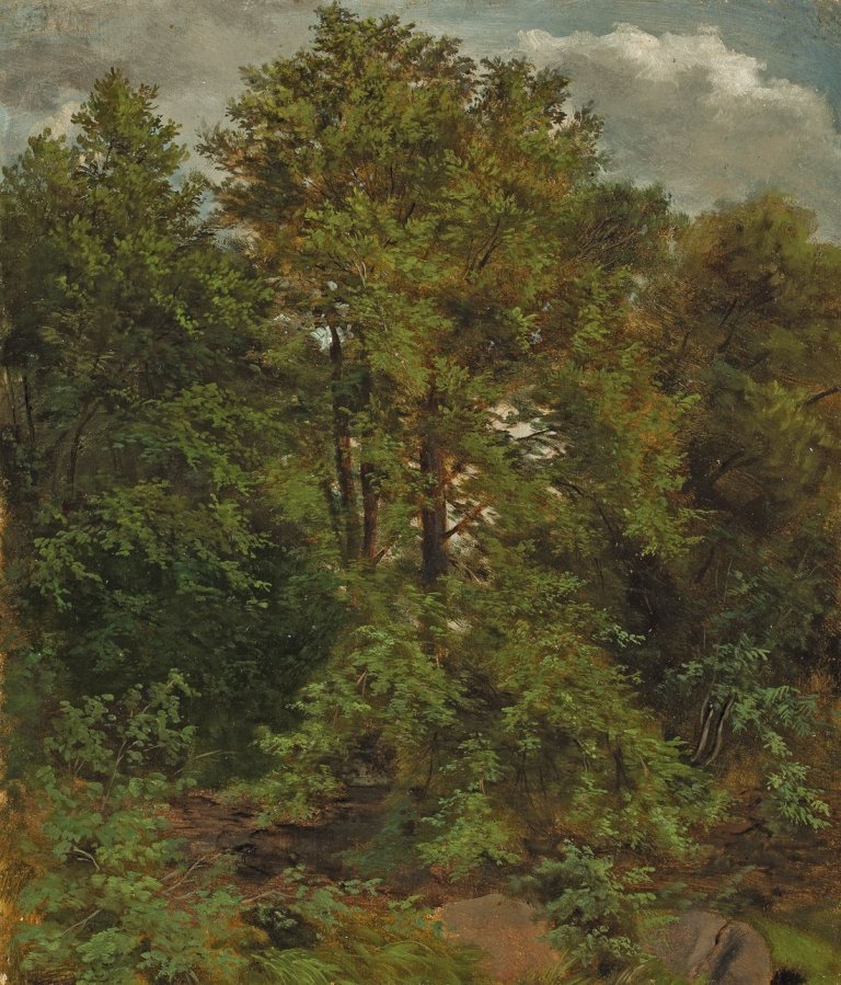 This picture shows the following artwork: Carl Gustav Carus. „Motiv von der Pillnitzer Elbinsel“. Circa 1830.