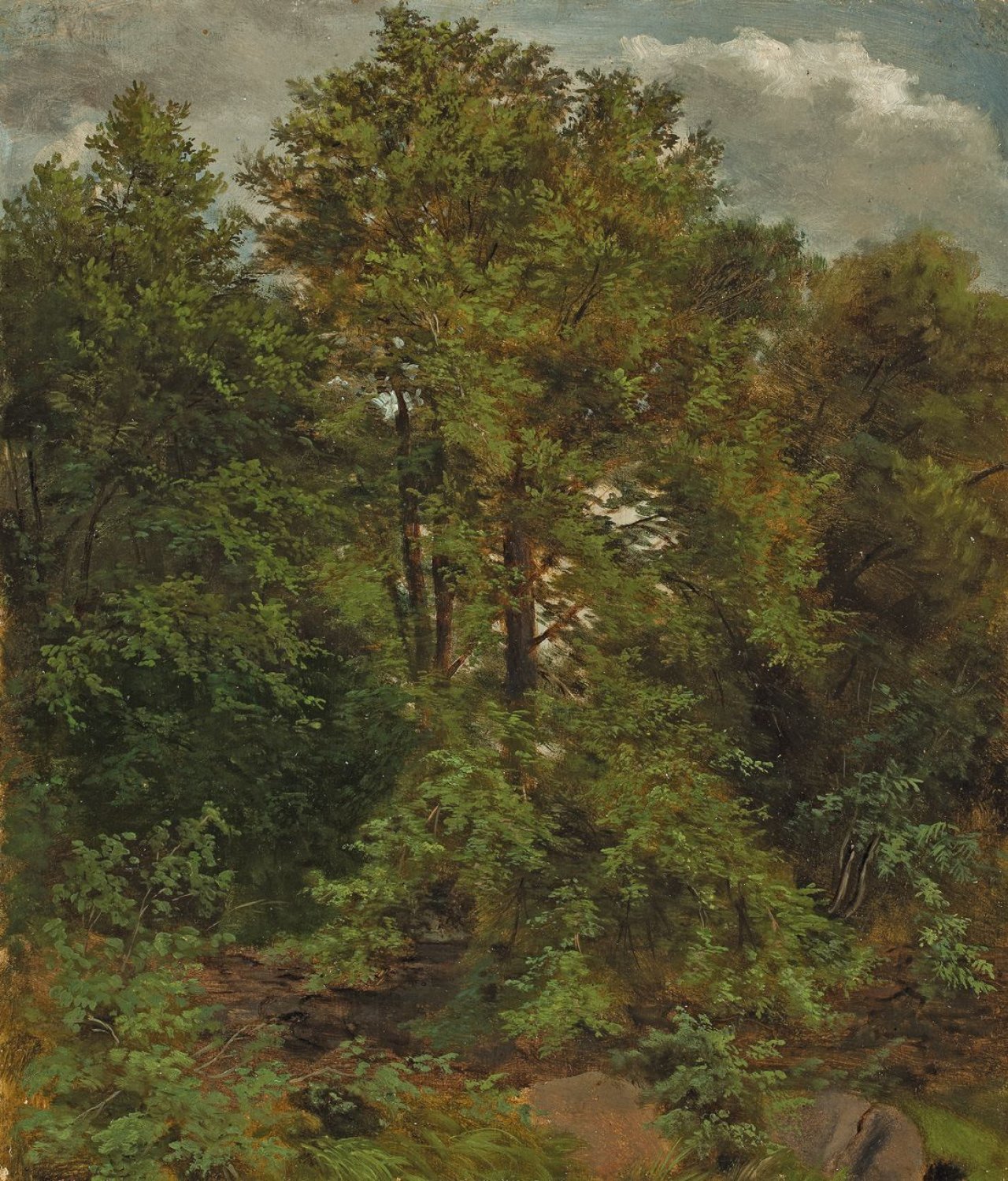 This picture shows the following artwork: Carl Gustav Carus. „Motiv von der Pillnitzer Elbinsel“. Circa 1830.