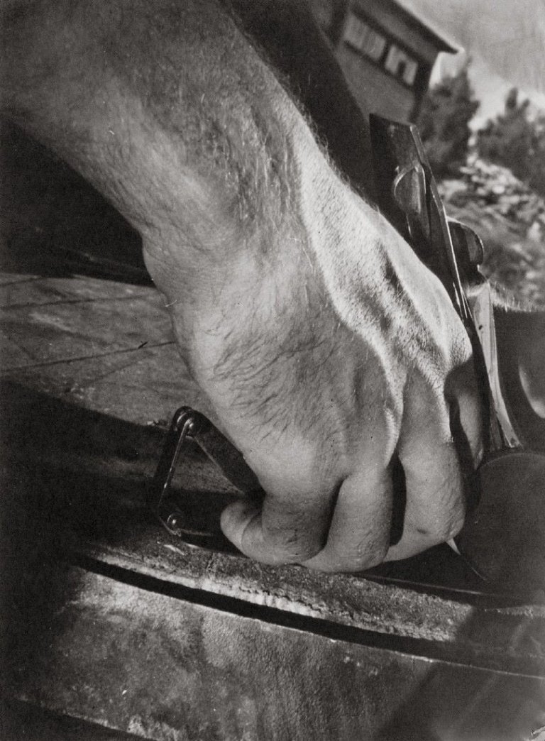 Auf diesem Bild ist das folgende Kunstwerk zu sehen: Helmar Lerski (d.i. Schmuklerski, Israel). „Kibbuz Arbeiter“, aus der Serie „Hände“. 1944.