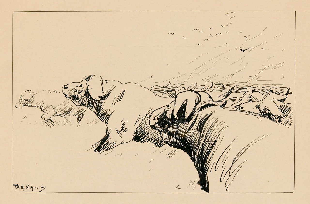 Auf diesem Bild ist das folgende Kunstwerk zu sehen: Wilhelm Kuhnert. Wasserbüffel.
