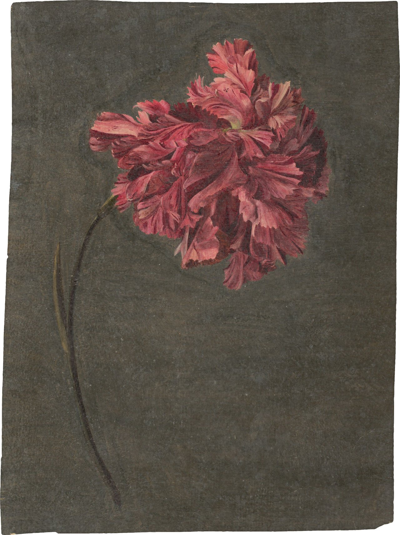 This picture shows the following artwork:  German, circa 1820. Two oil studies: carnation and leaf twig.