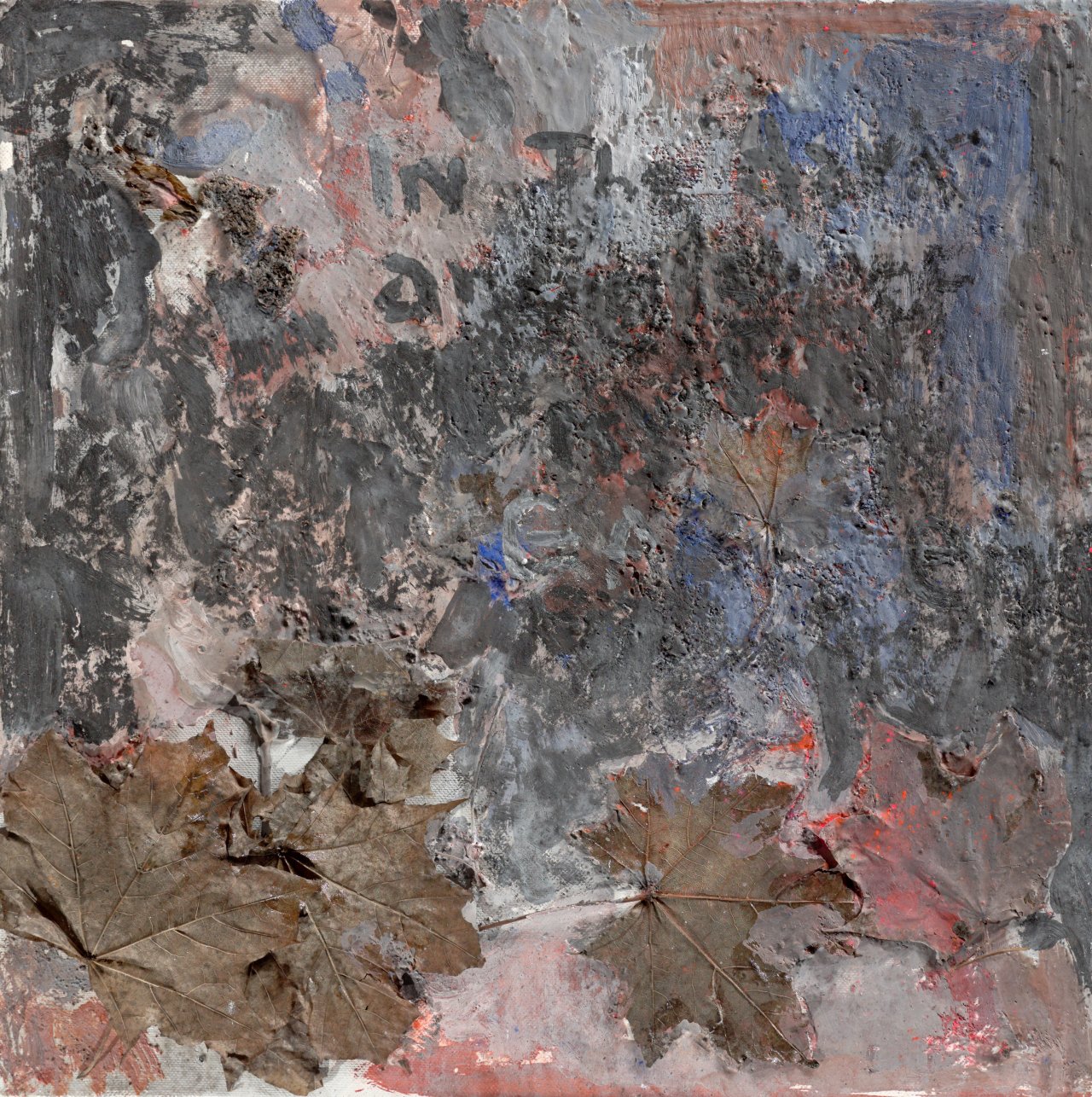 Catalog image of Ohne Titel (Flowers for Gandhi). 2011