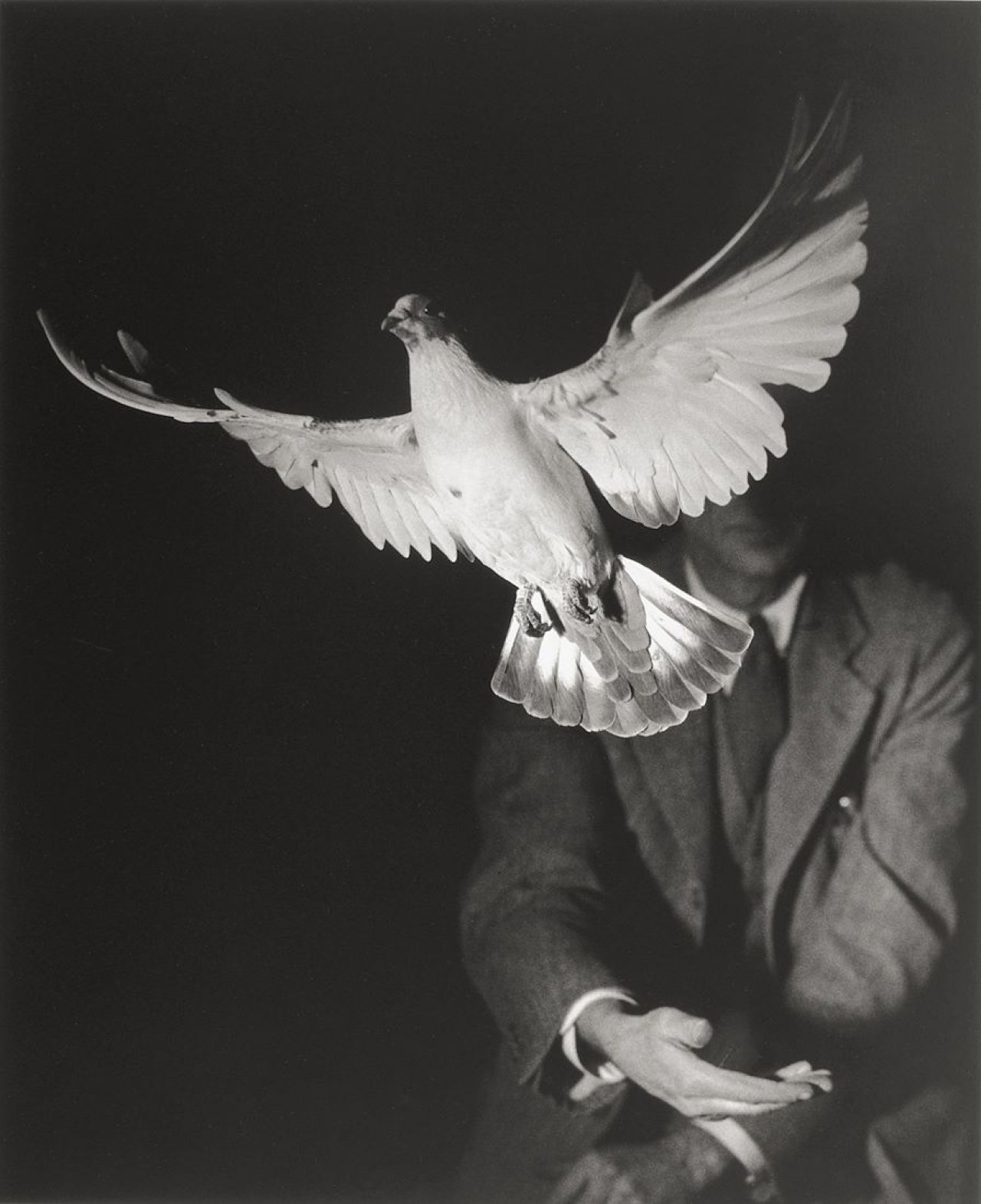 Auf diesem Bild ist das folgende Kunstwerk zu sehen: Harold E. Edgerton. Rising Dove. 1934.