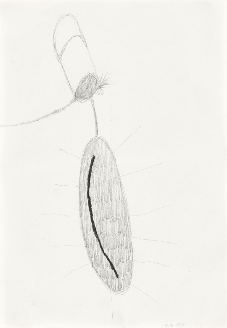 Auf diesem Bild ist das folgende Kunstwerk zu sehen: Jiří Georg Dokoupil. Ohne Titel. 1983.