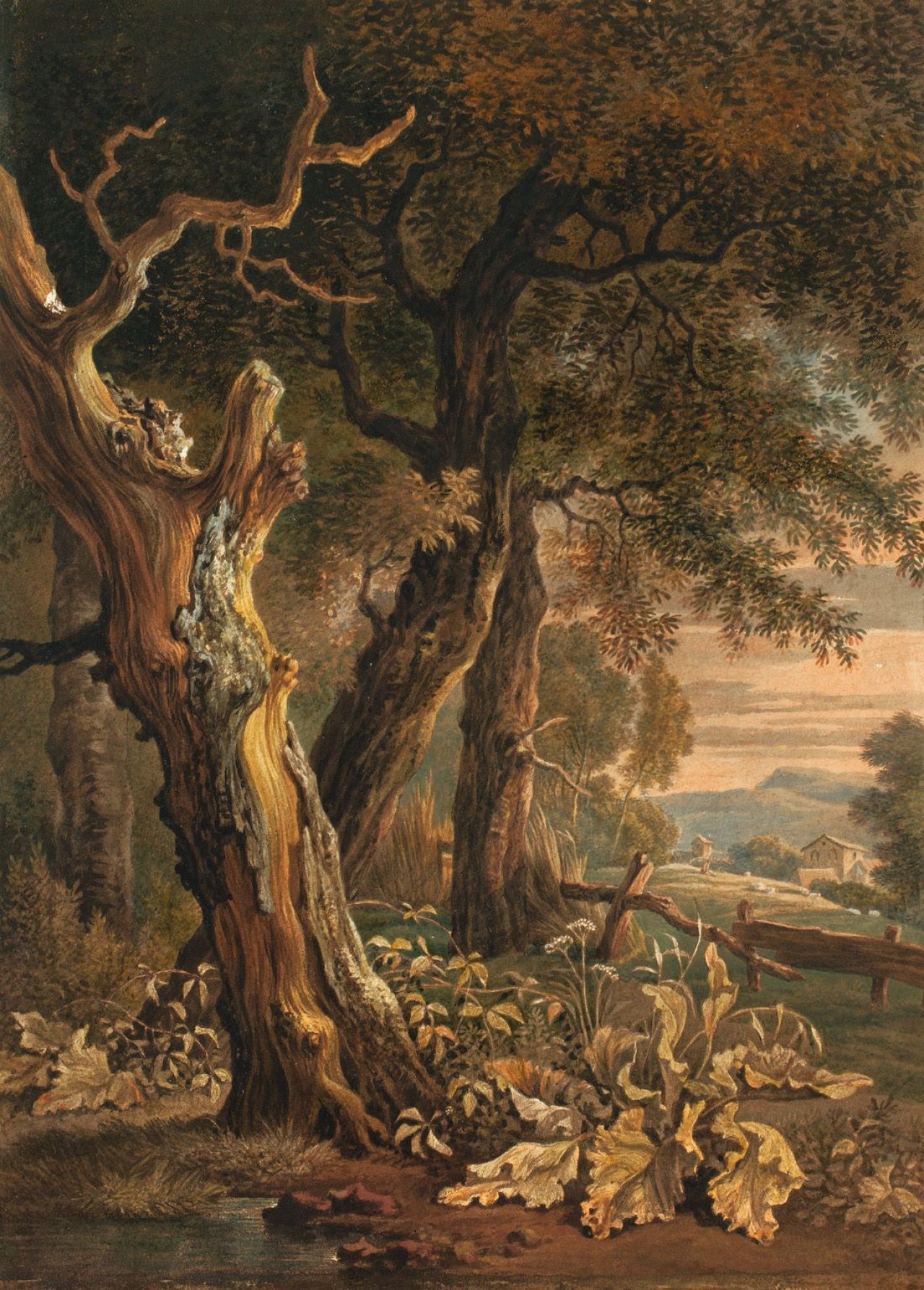 Auf diesem Bild ist das folgende Kunstwerk zu sehen: Wilhelm von Kobell. Verdorrte Eiche. 1792.