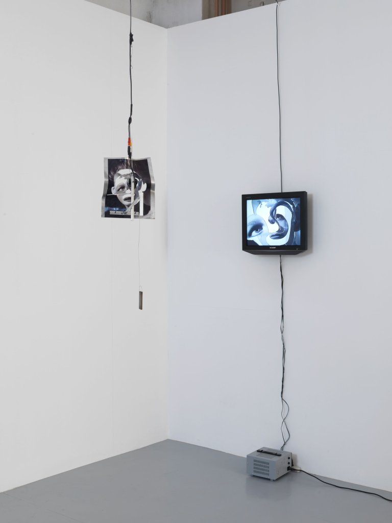 Auf diesem Bild ist das folgende Kunstwerk zu sehen: Jon Kessler. „Hanging Swan #4“. 2008.