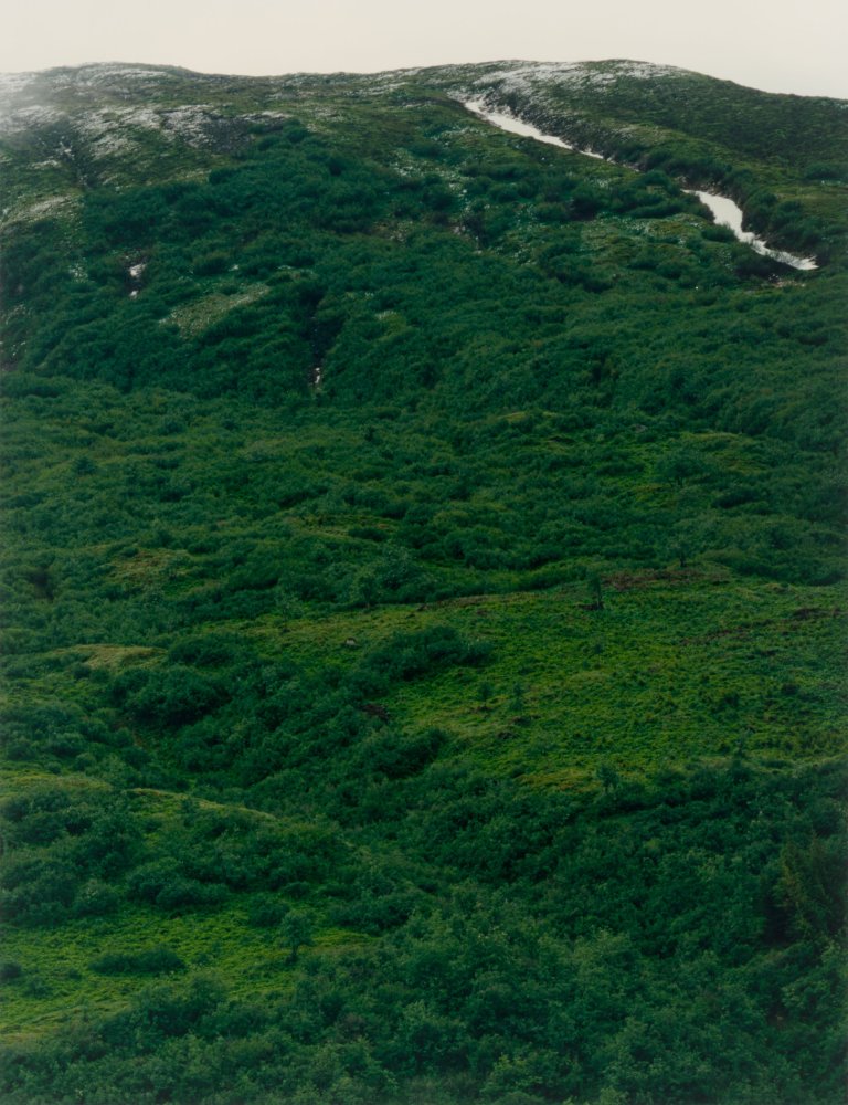 Auf diesem Bild ist das folgende Kunstwerk zu sehen: Axel Hütte. „Furka / Realp“. 1995.