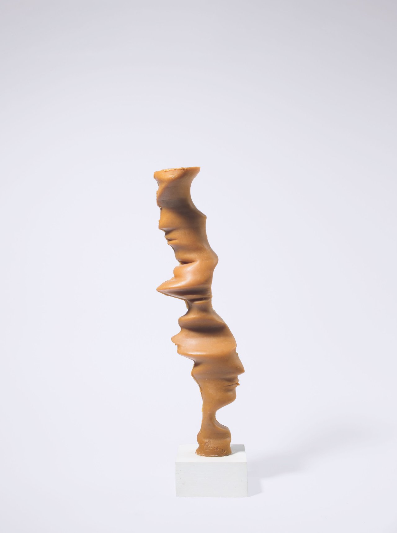 Auf diesem Bild ist das folgende Kunstwerk zu sehen: Tony Cragg. Pokal mit Gesichtsprofilen. 2002.
