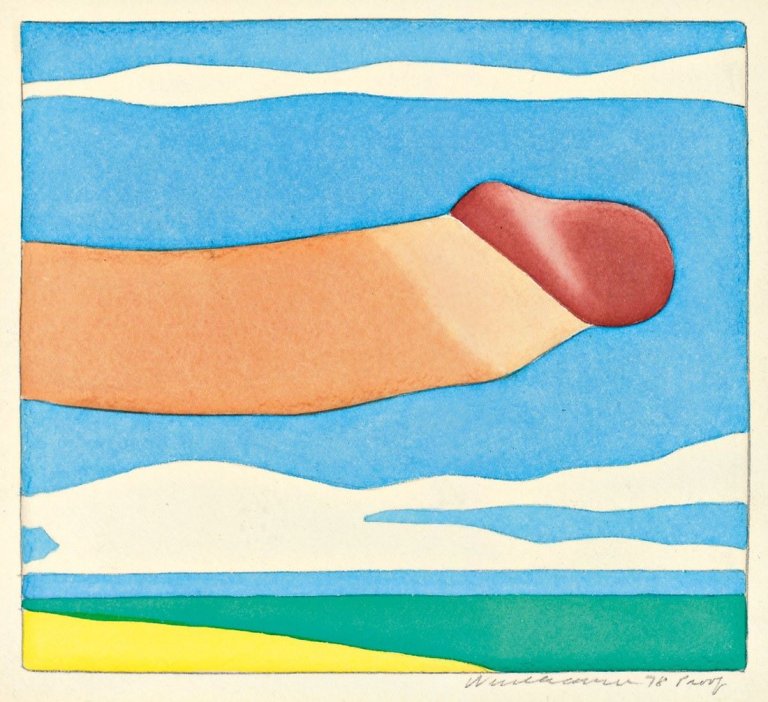 Auf diesem Bild ist das folgende Kunstwerk zu sehen: Tom Wesselmann. „Seascape Prick”. 1978.