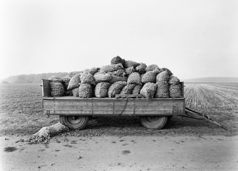Auf diesem Bild ist das folgende Kunstwerk zu sehen: Heinrich Riebesehl. „Schillerslage (Hannover), Oktober 1978“, aus der Serie „Agrarlandschaften“, 1976–1979. 1978.