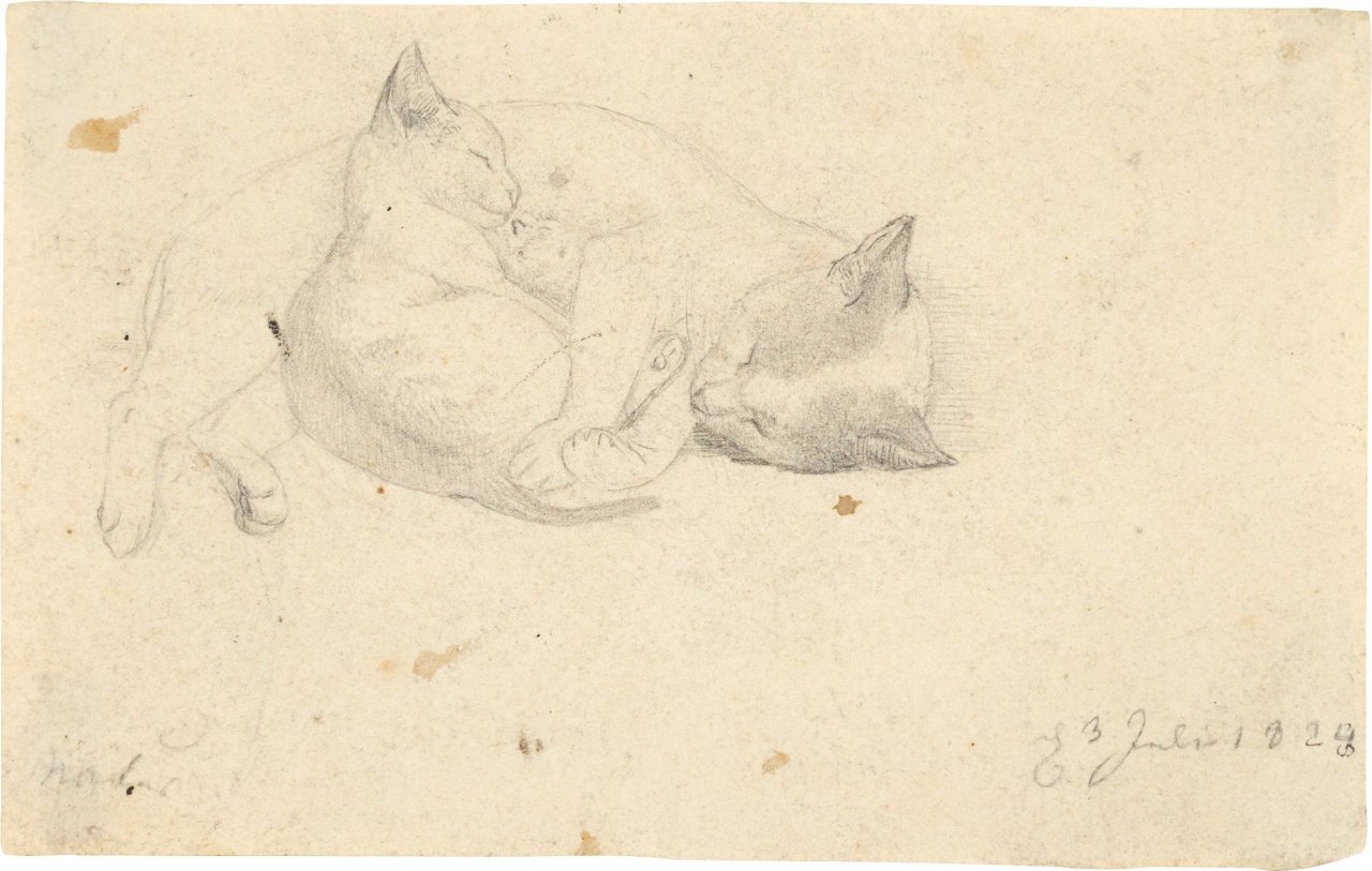 Auf diesem Bild ist das folgende Kunstwerk zu sehen: Otto Speckter. Vier Katzenstudien / „Drei Kinderstudien“ (Speckters Sohn Erwin). Um 1824 / Um 1855 (+ 1 Beigabe).