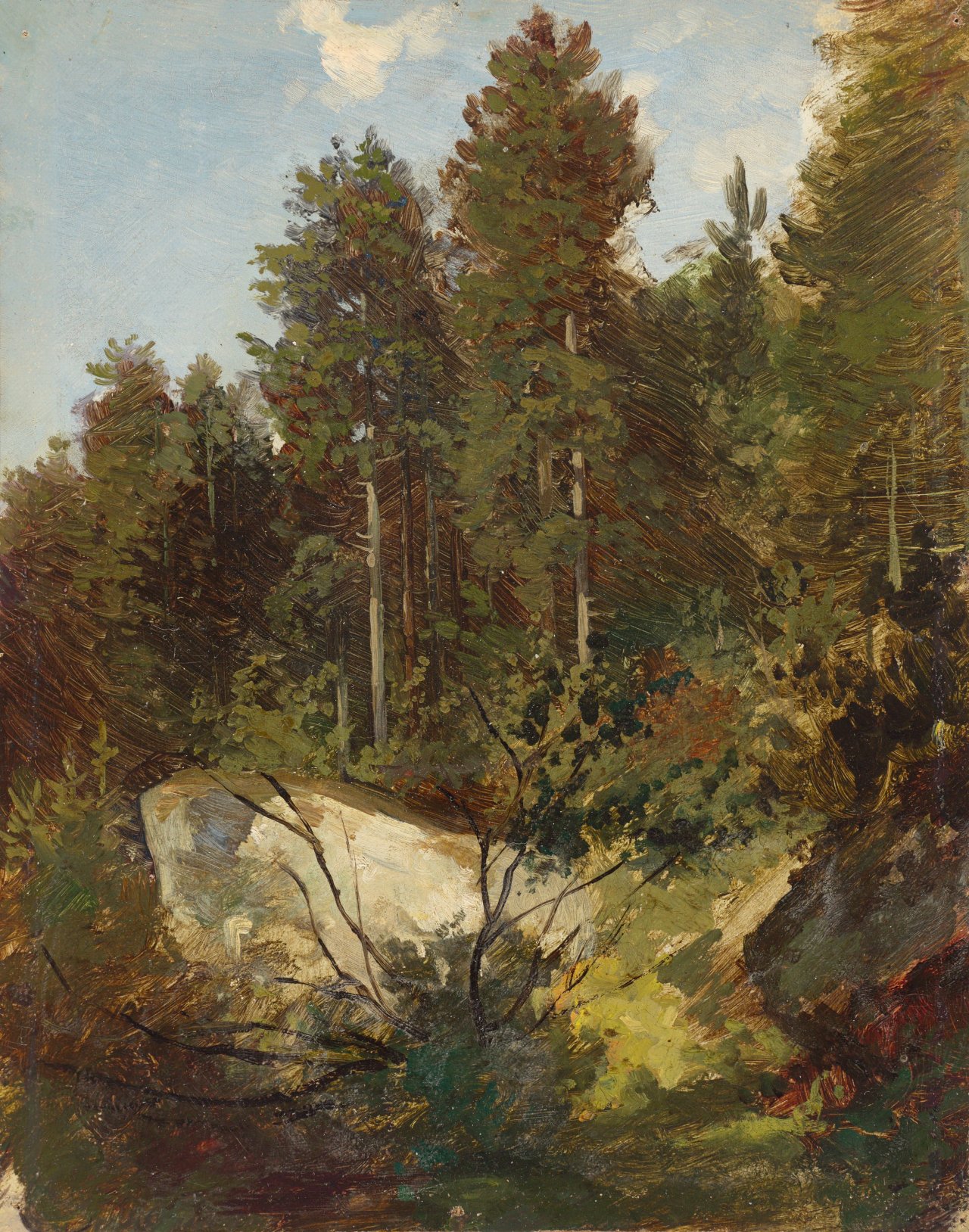 Auf diesem Bild ist das folgende Kunstwerk zu sehen:  Deutsch, um 1865. Waldlichtung mit Felsen. Um 1865.
