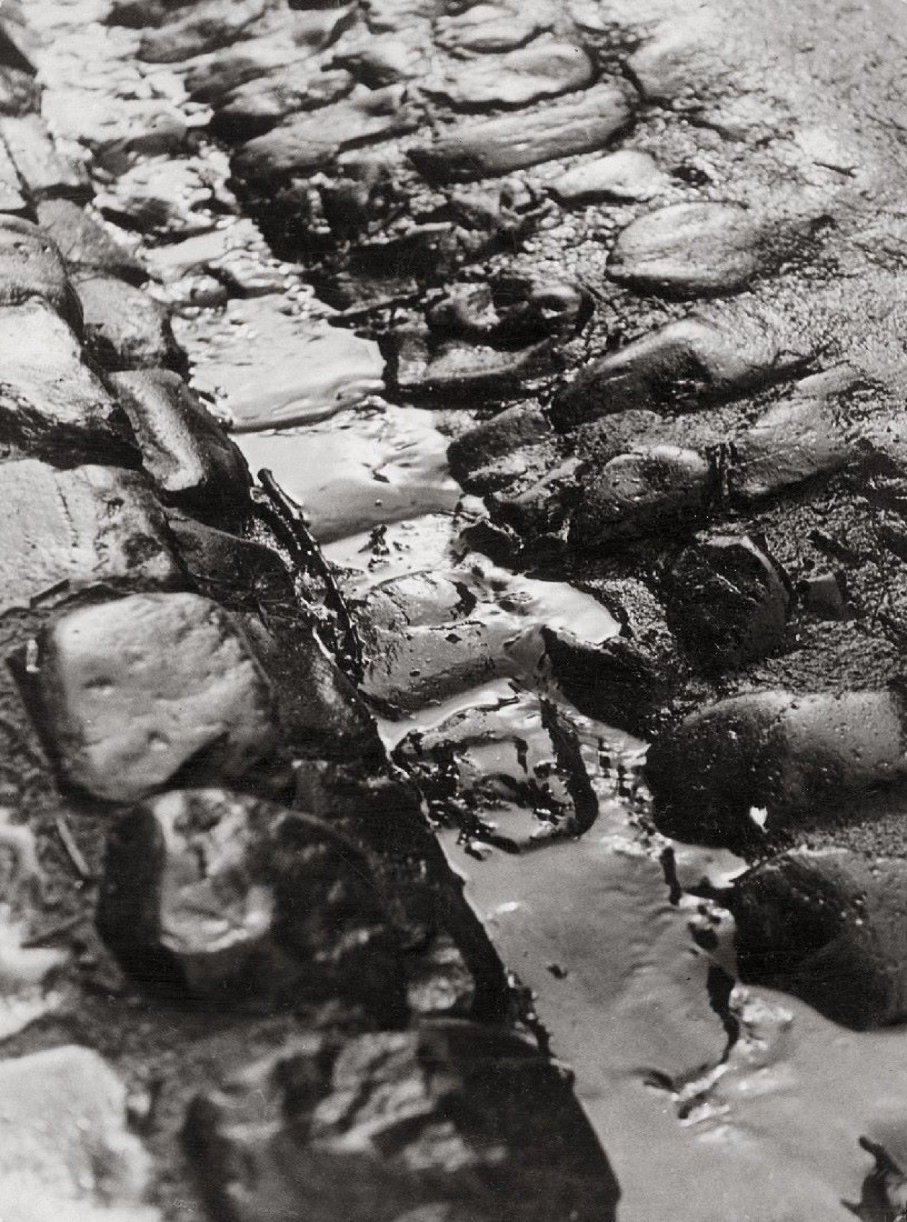 Auf diesem Bild ist das folgende Kunstwerk zu sehen: Dr. Paul Wolff. Ohne Titel (Kopfsteinpflaster).  1926-1931.