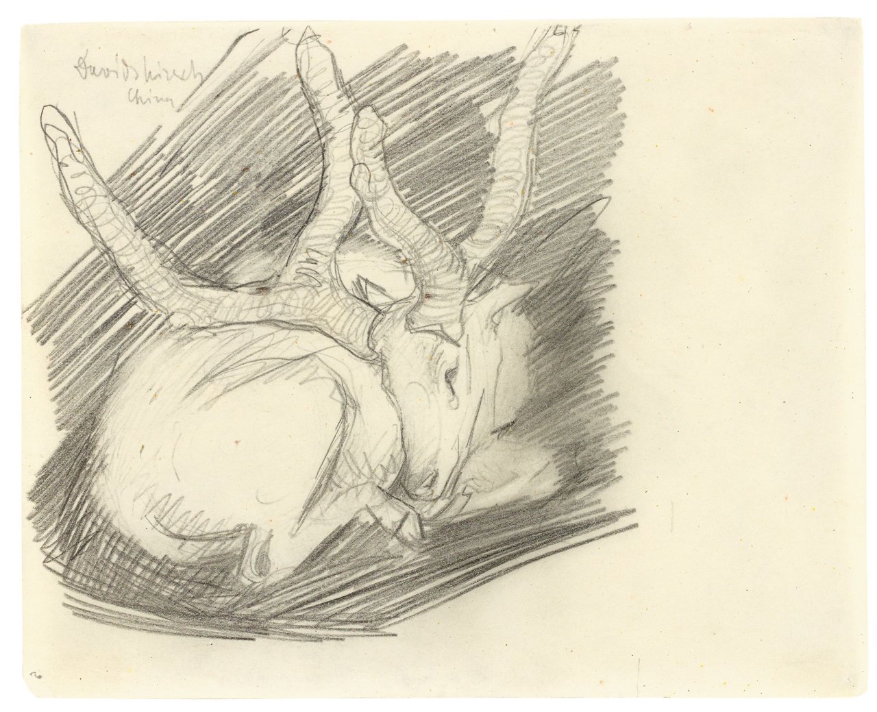 This picture shows the following artwork: Franz Marc. „Davidshirsch (Liegender Hirsch)“. 1910.
