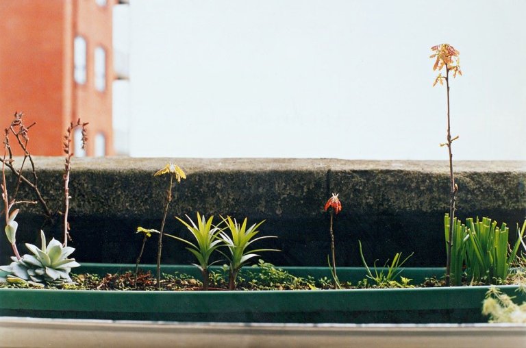 Auf diesem Bild ist das folgende Kunstwerk zu sehen: Wolfgang Tillmans. „Windowbox“. 2000/01.
