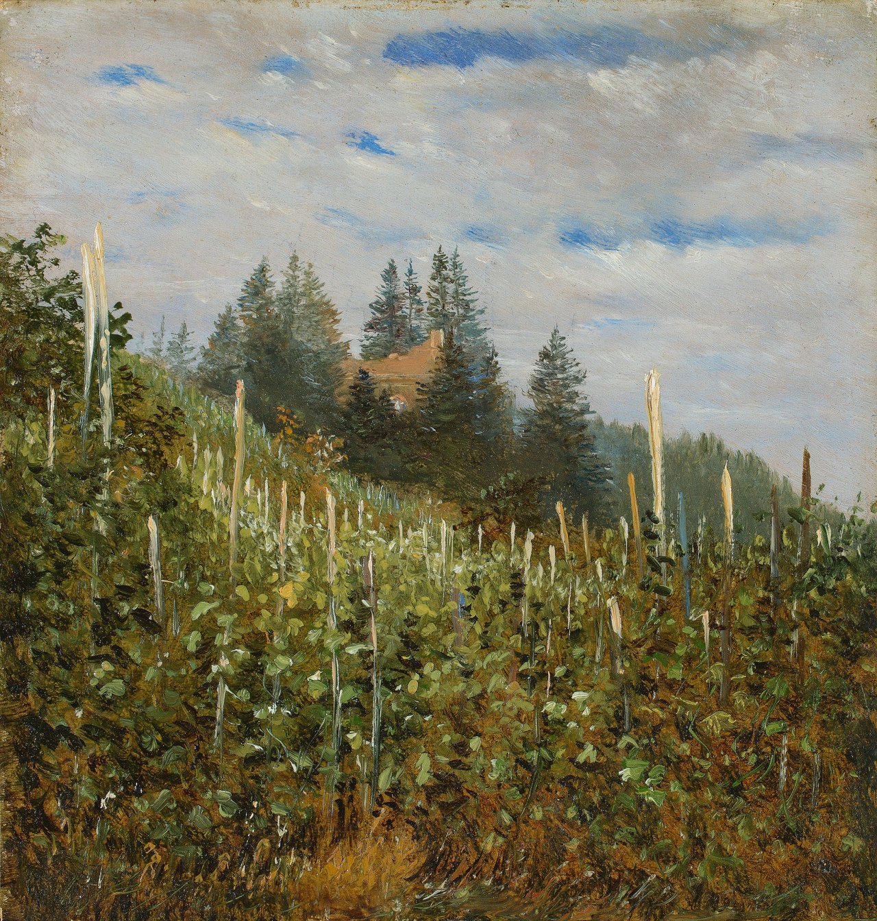 This picture shows the following artwork: Carl Gustav Carus. Vinyard in Pillnitz in early summer. Circa 1830/40.