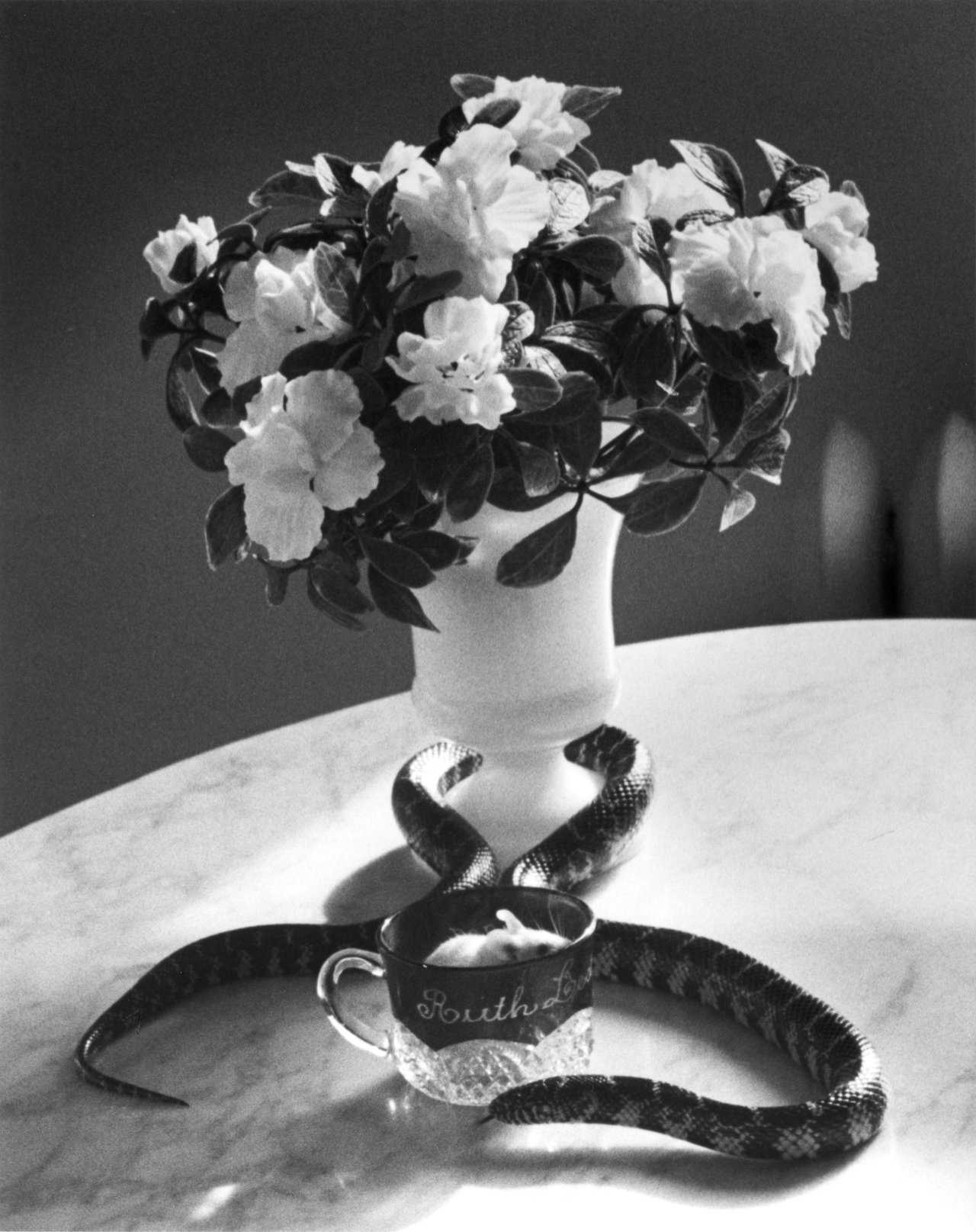Auf diesem Bild ist das folgende Kunstwerk zu sehen: André  Kertész. Snake & Mouse, New York. 1960er–Jahre.